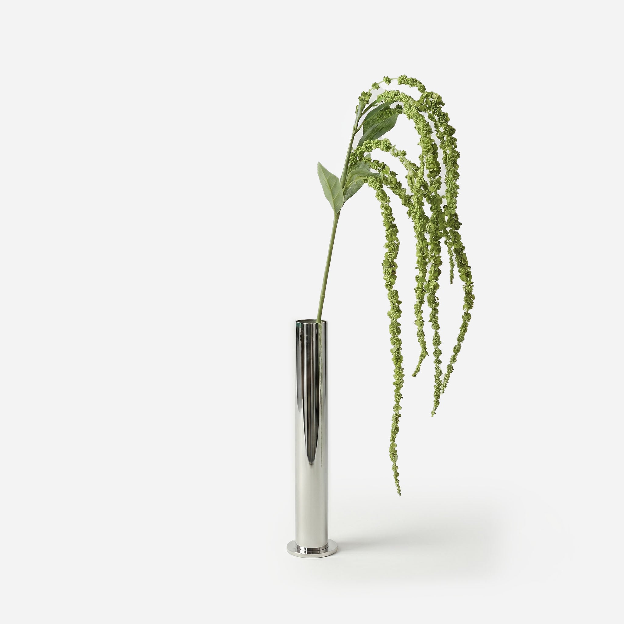 Amarante jardin sauvage