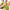 Bouquet "Aurore tropicale"