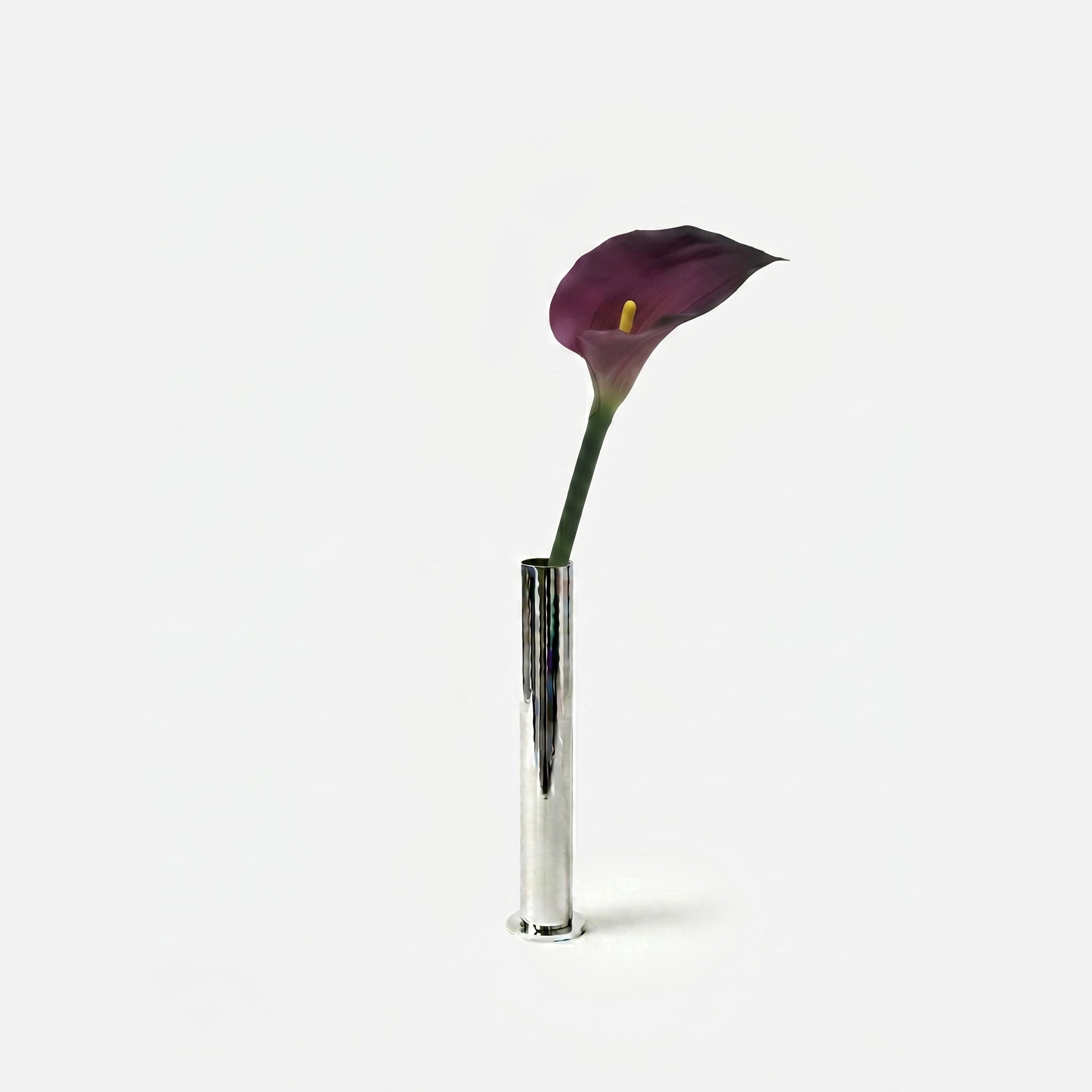 Calla prune profond