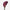 Calla prune profond