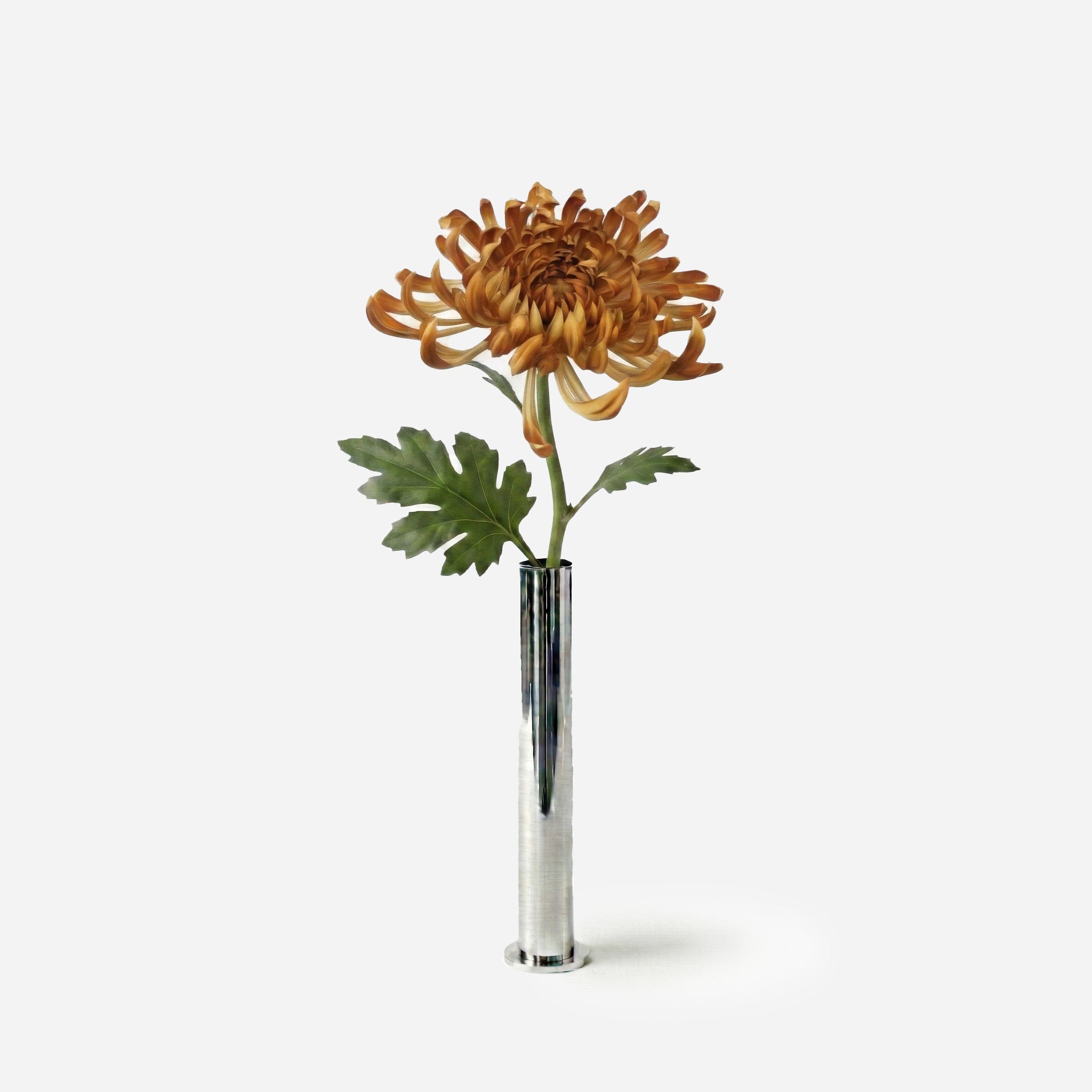 Sienna Chrysanthemum