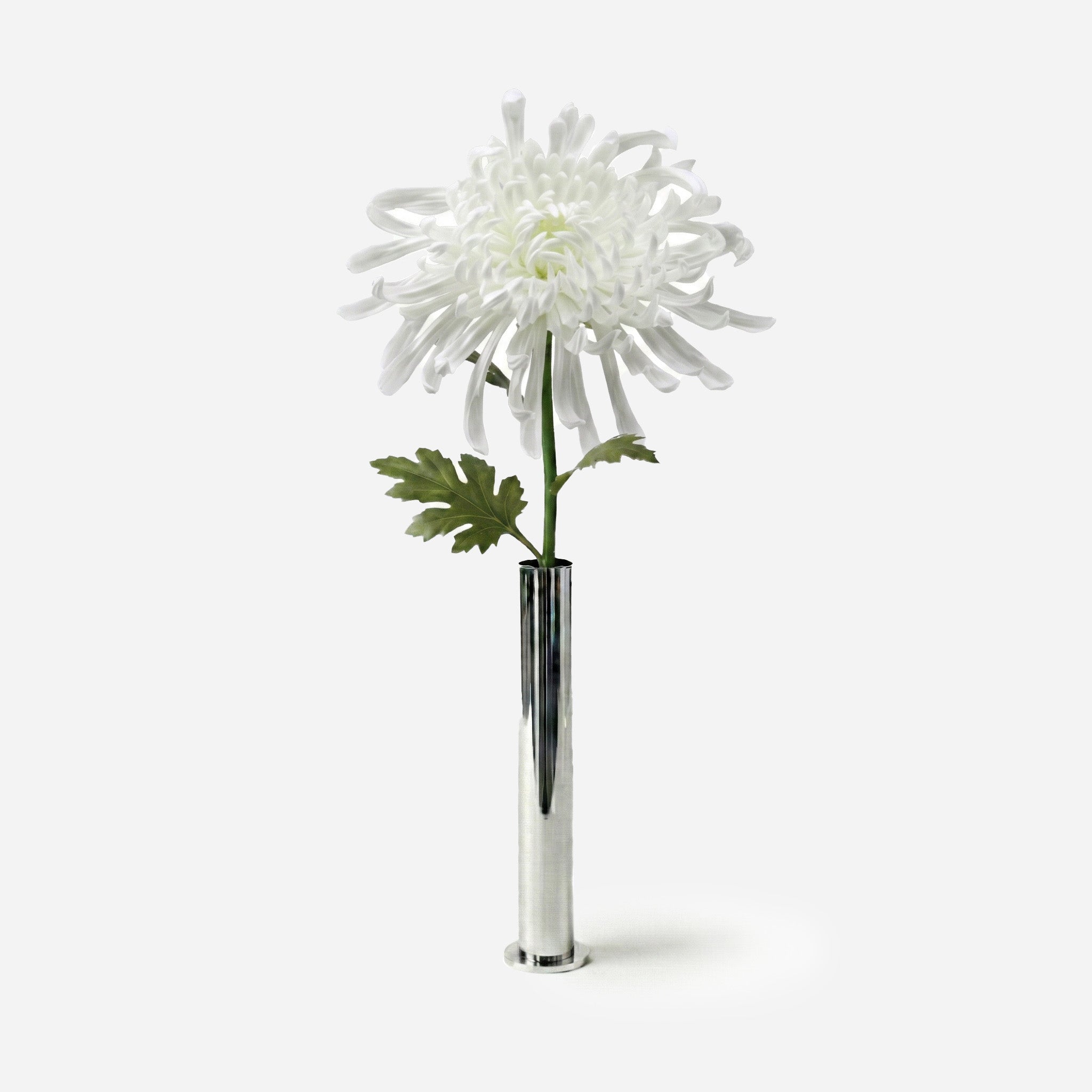 Crystal White Chrysanthemum