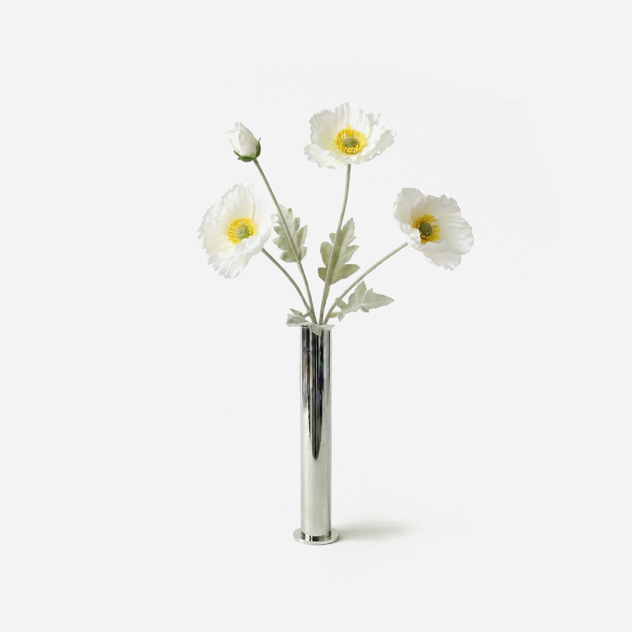 Coquelicot blanc de givre