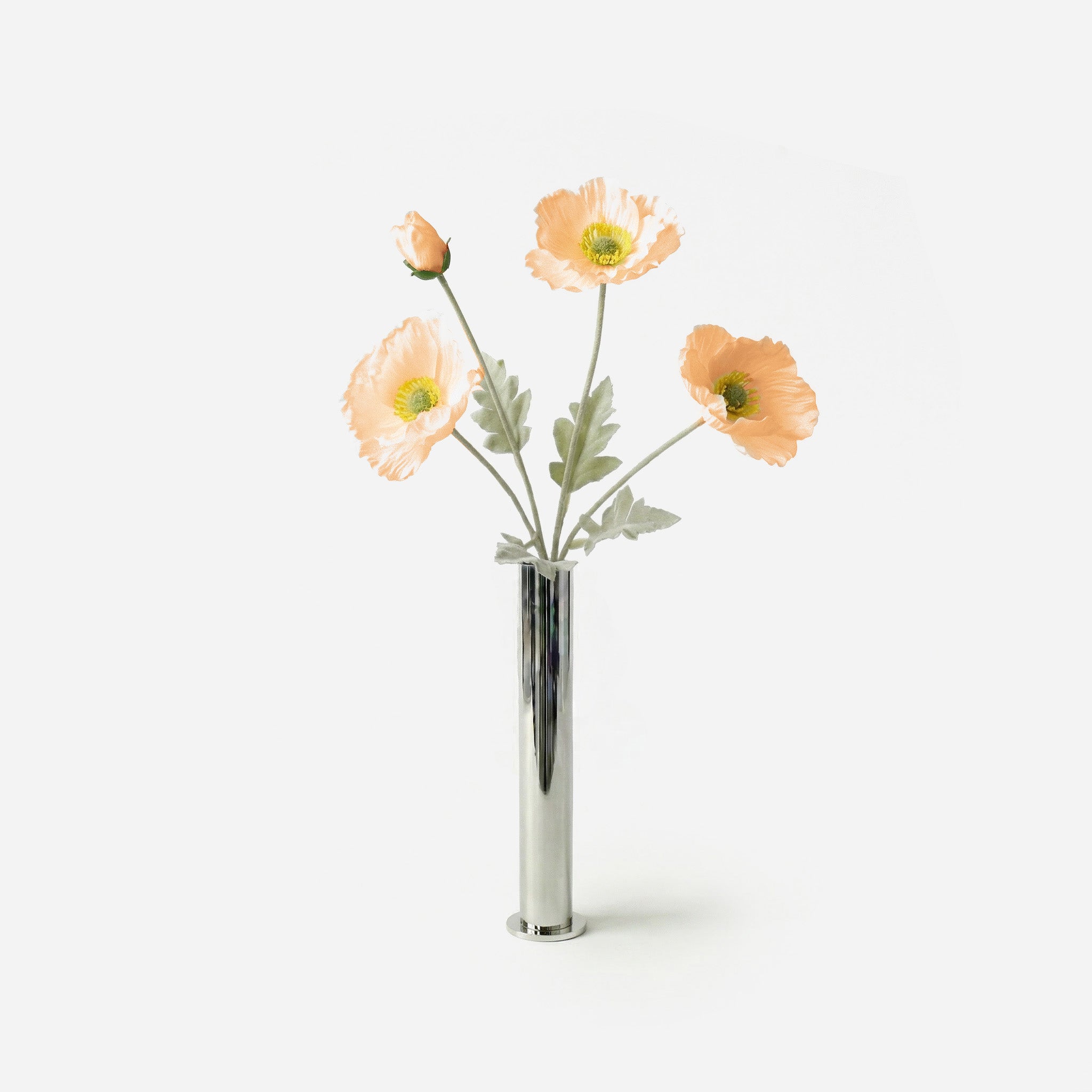 Pink champagne poppy