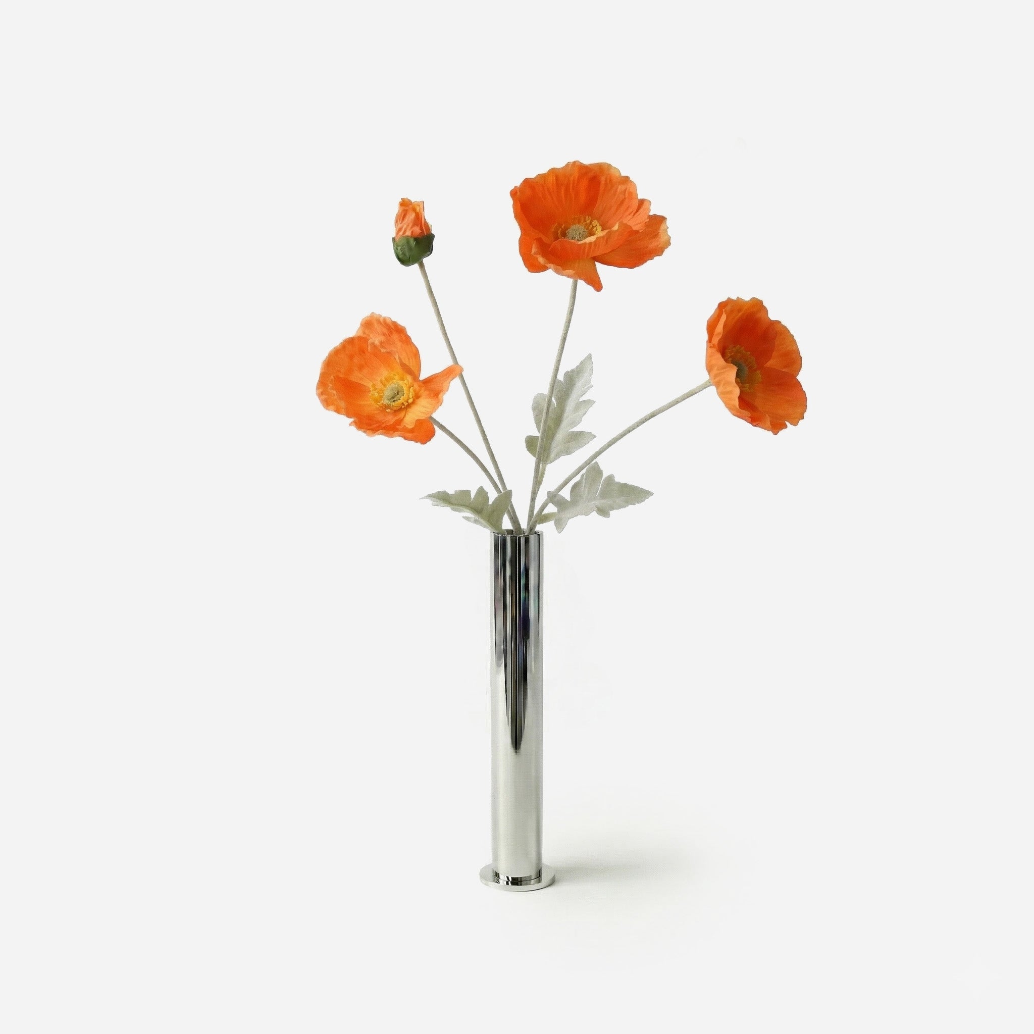 Orange poppy nasturtium