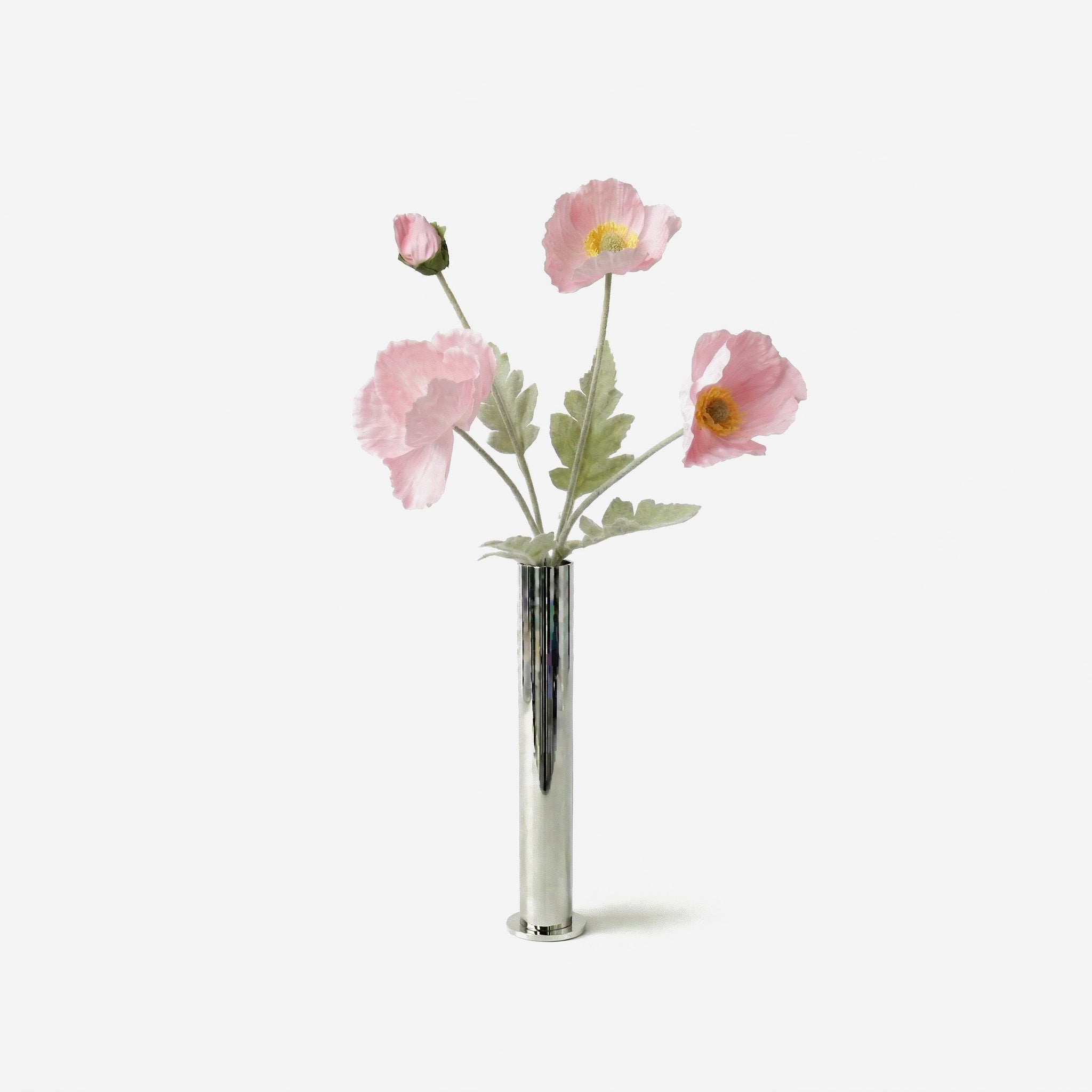 Soft pink poppy