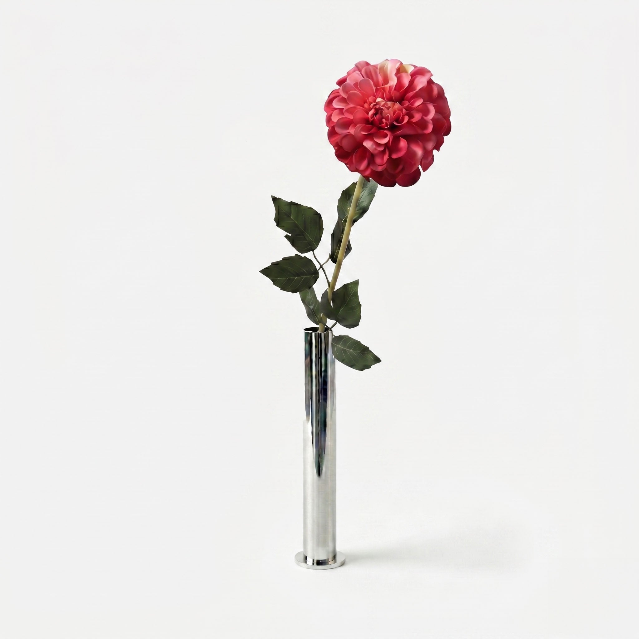 Dahlia corail passion