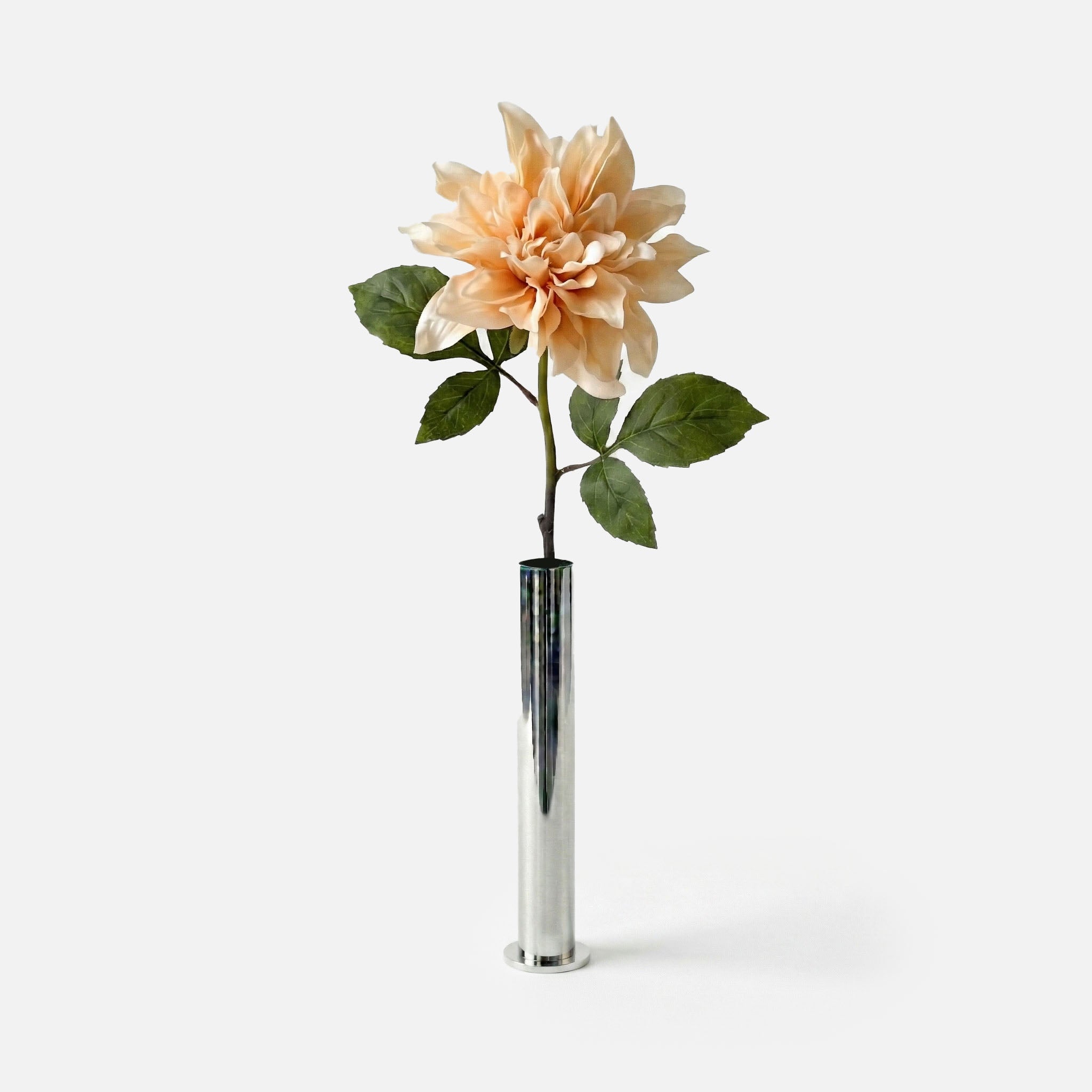 Dahlia douceur pêche
