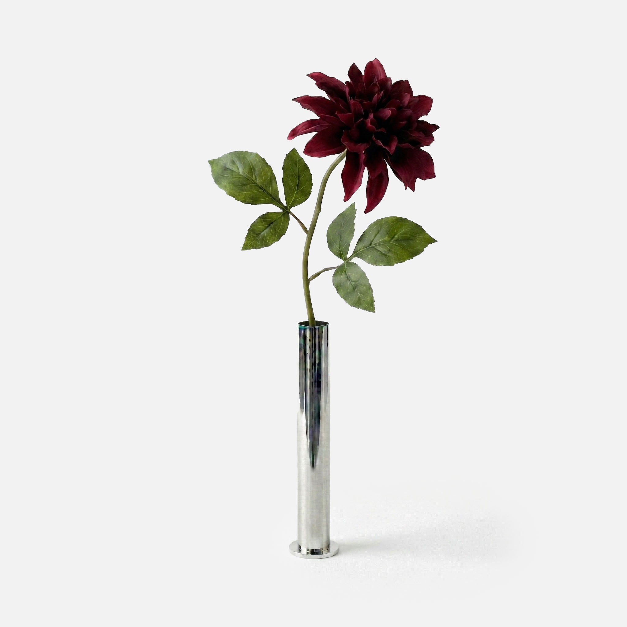 Deep Garnet Dahlia