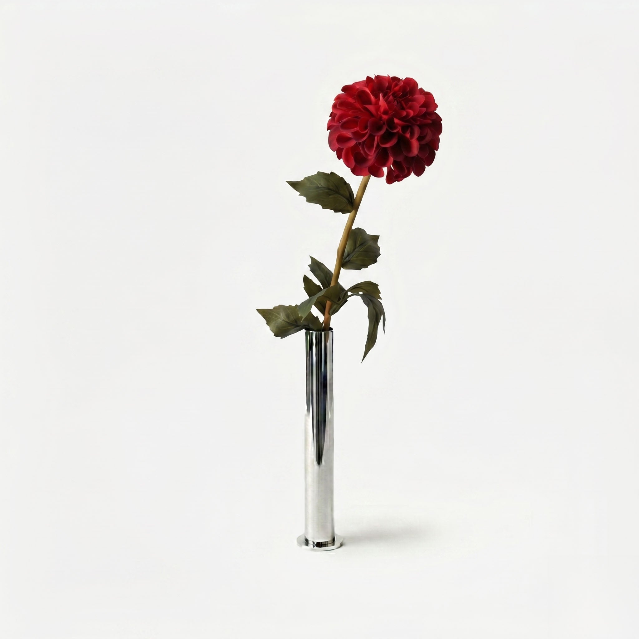 Dahlia rouge opéra