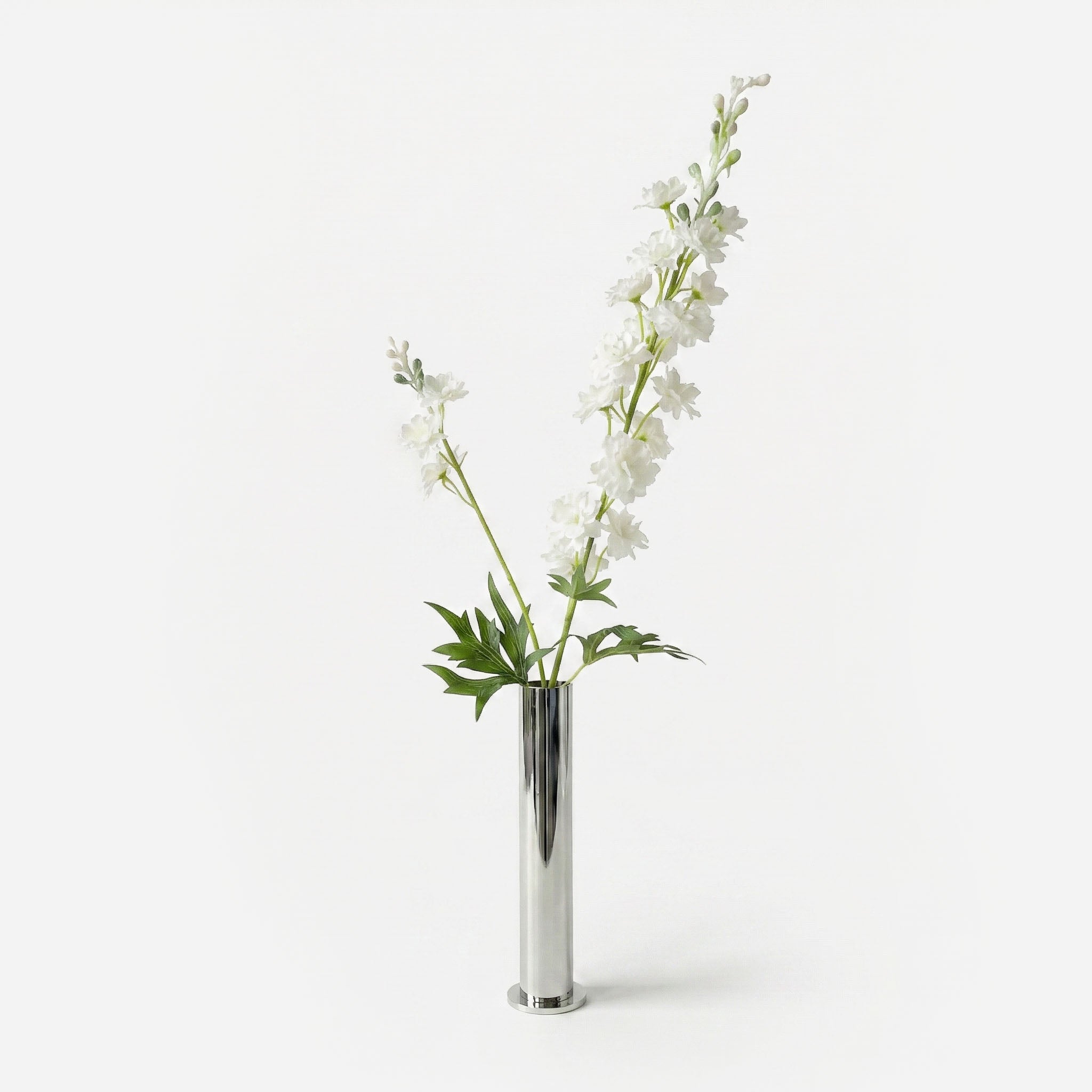 Alabaster white delphinium