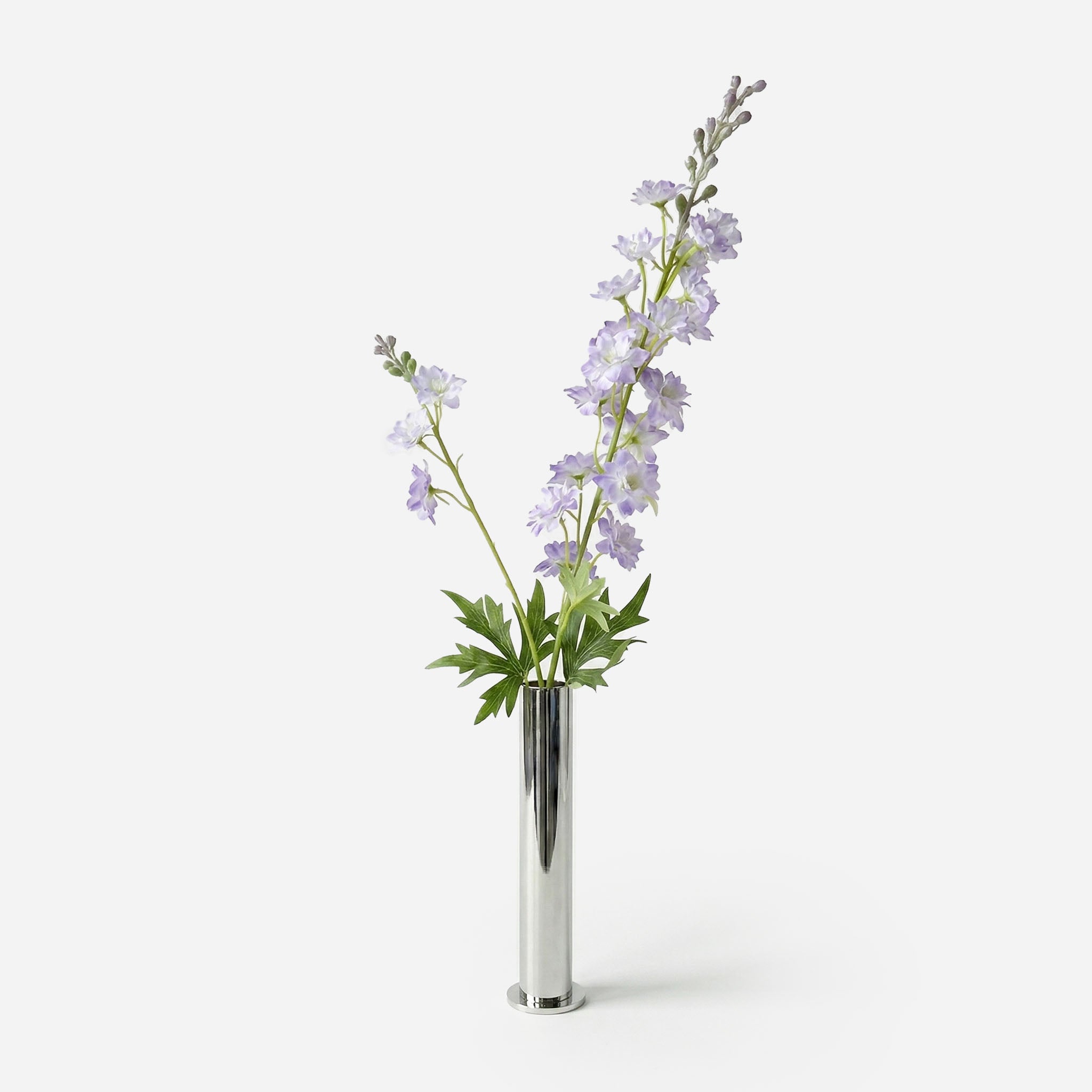 Delphinium mauve boréale