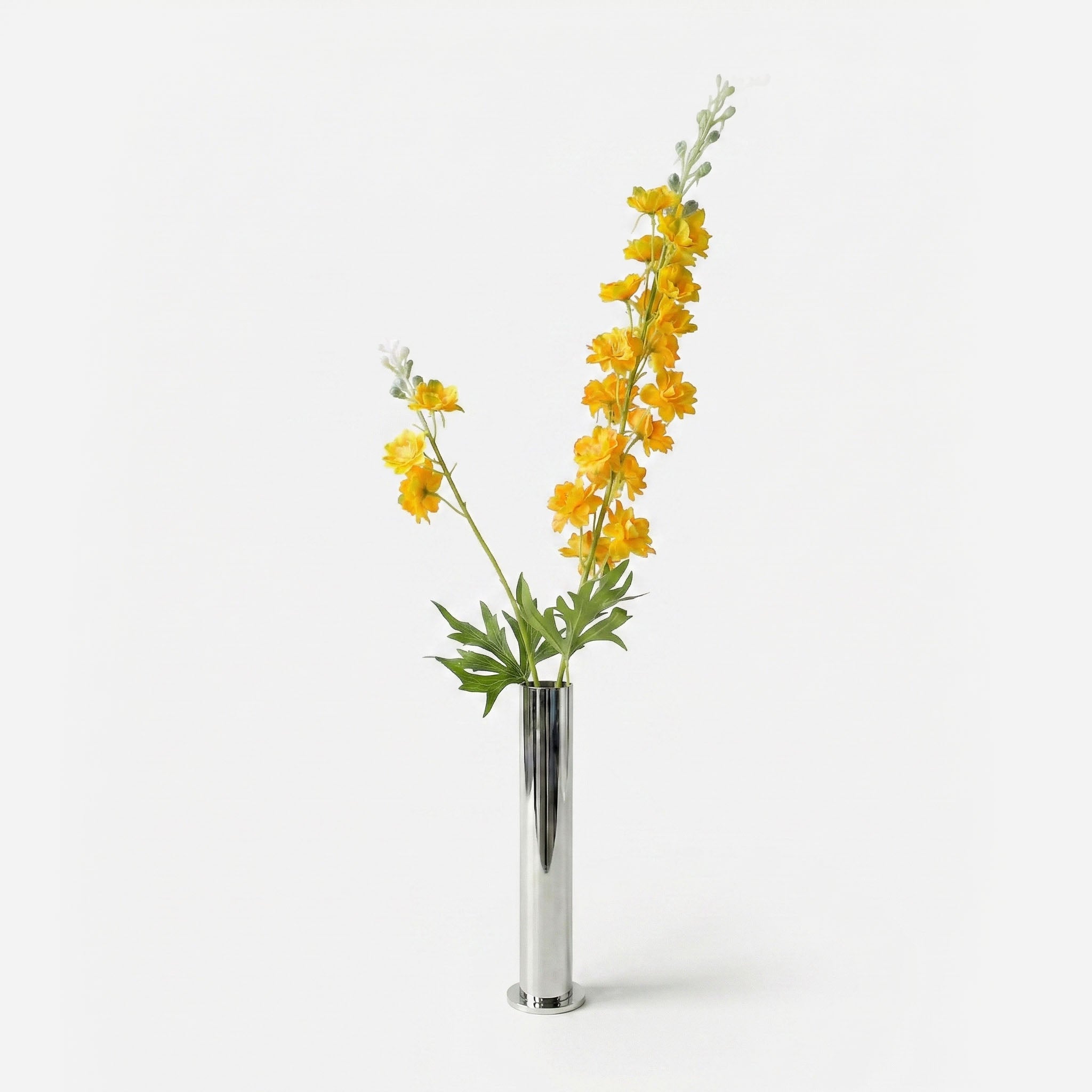 Delphinium ambre solaire