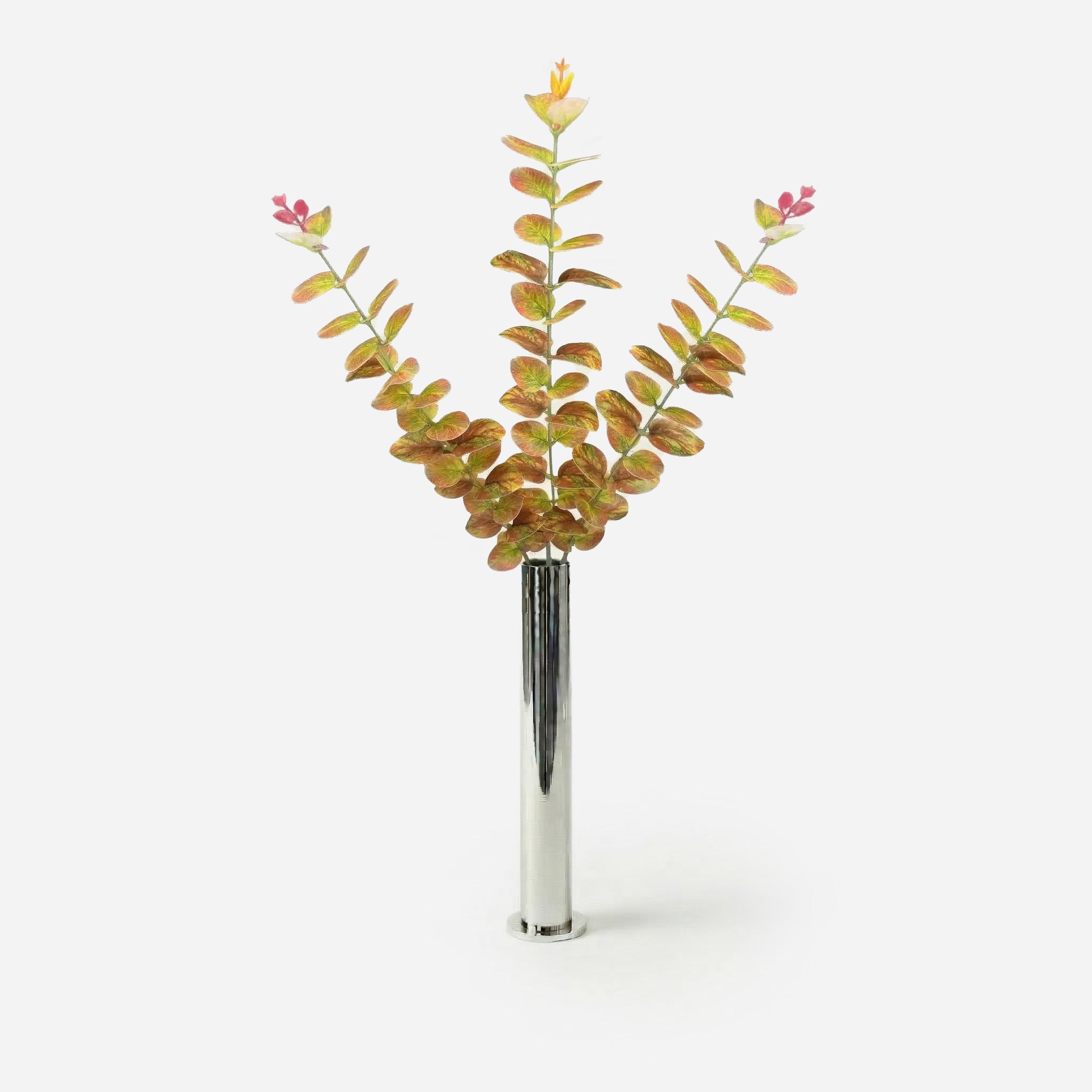 Eucalyptus sienne olive