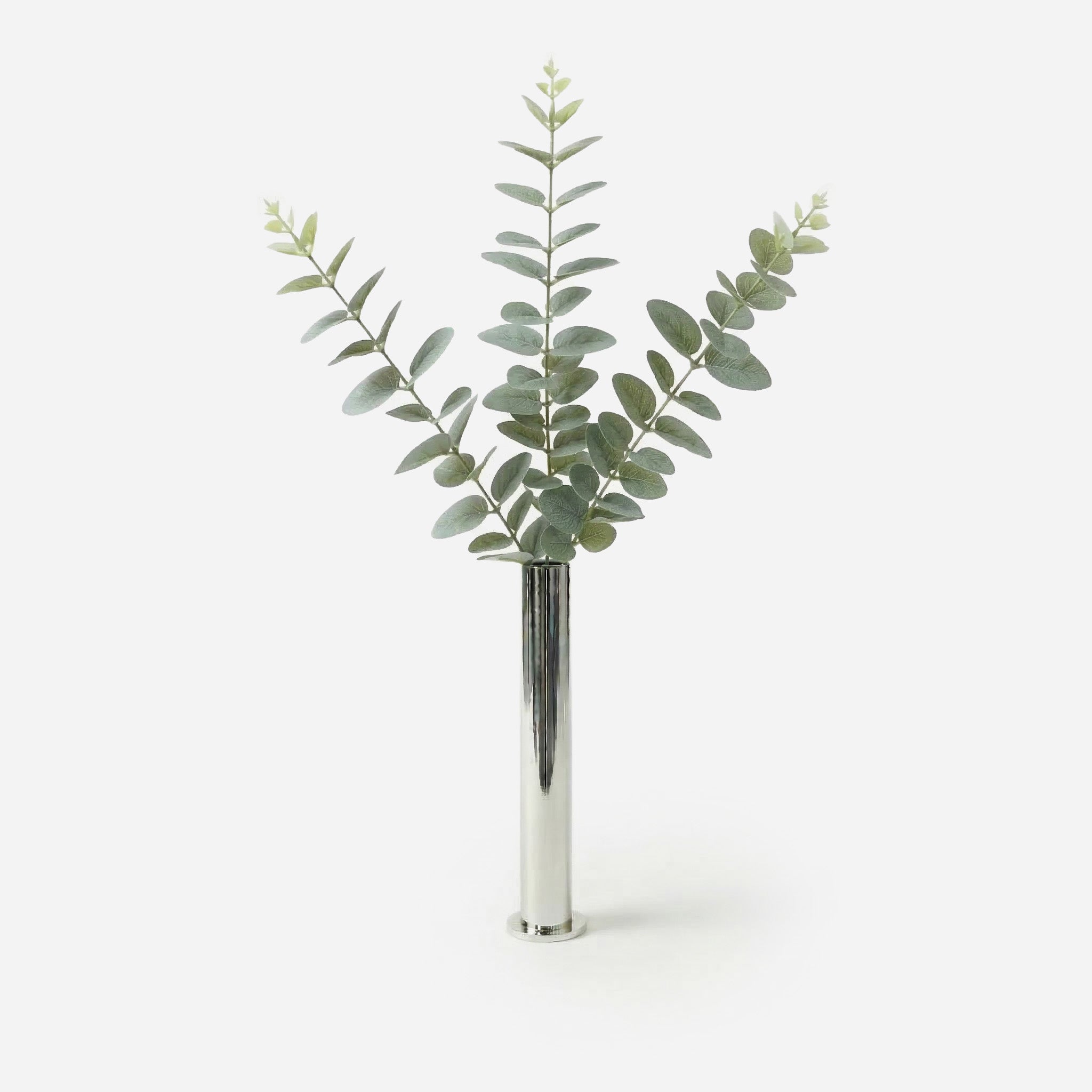 Frosted Green Eucalyptus