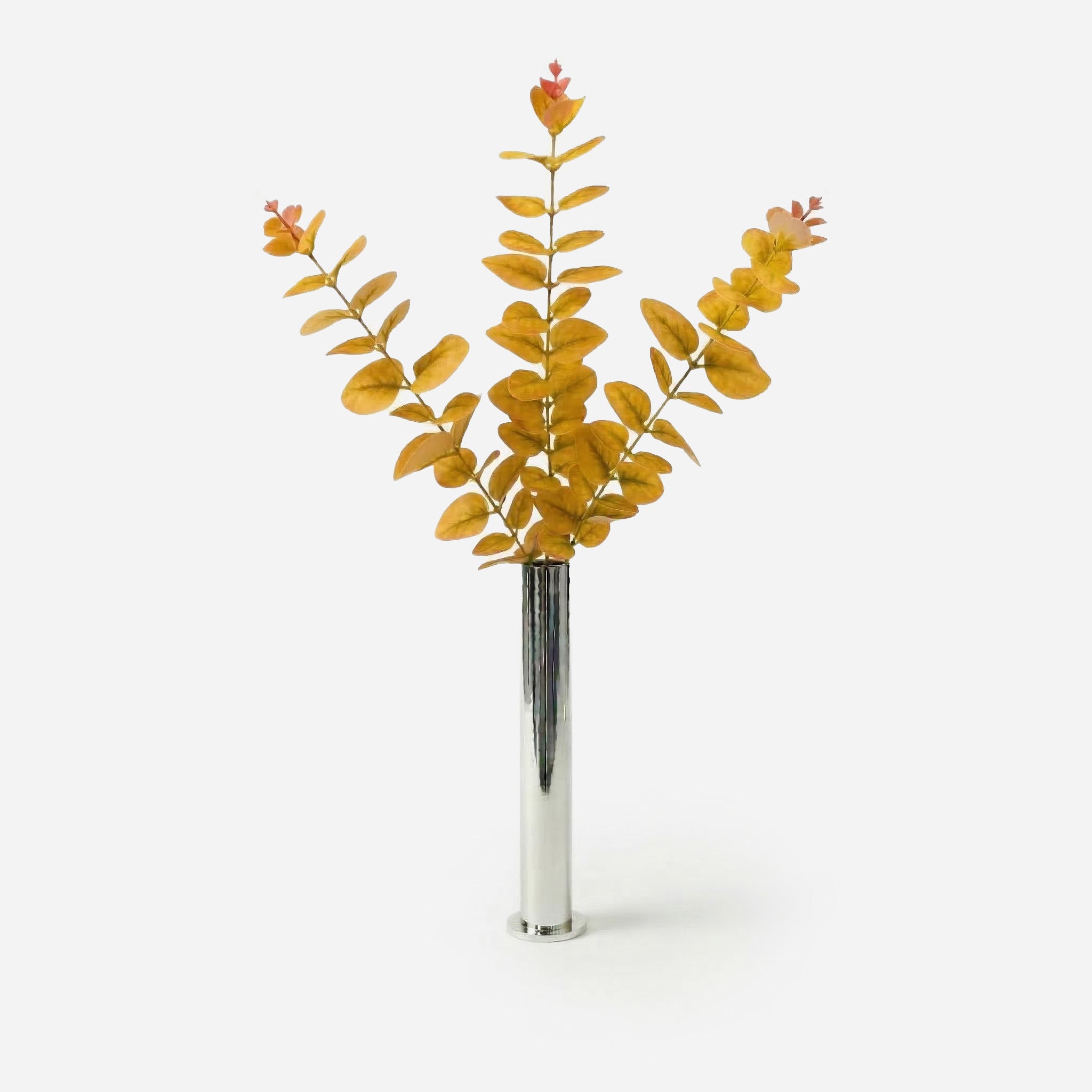 Eucalyptus ocre solaire