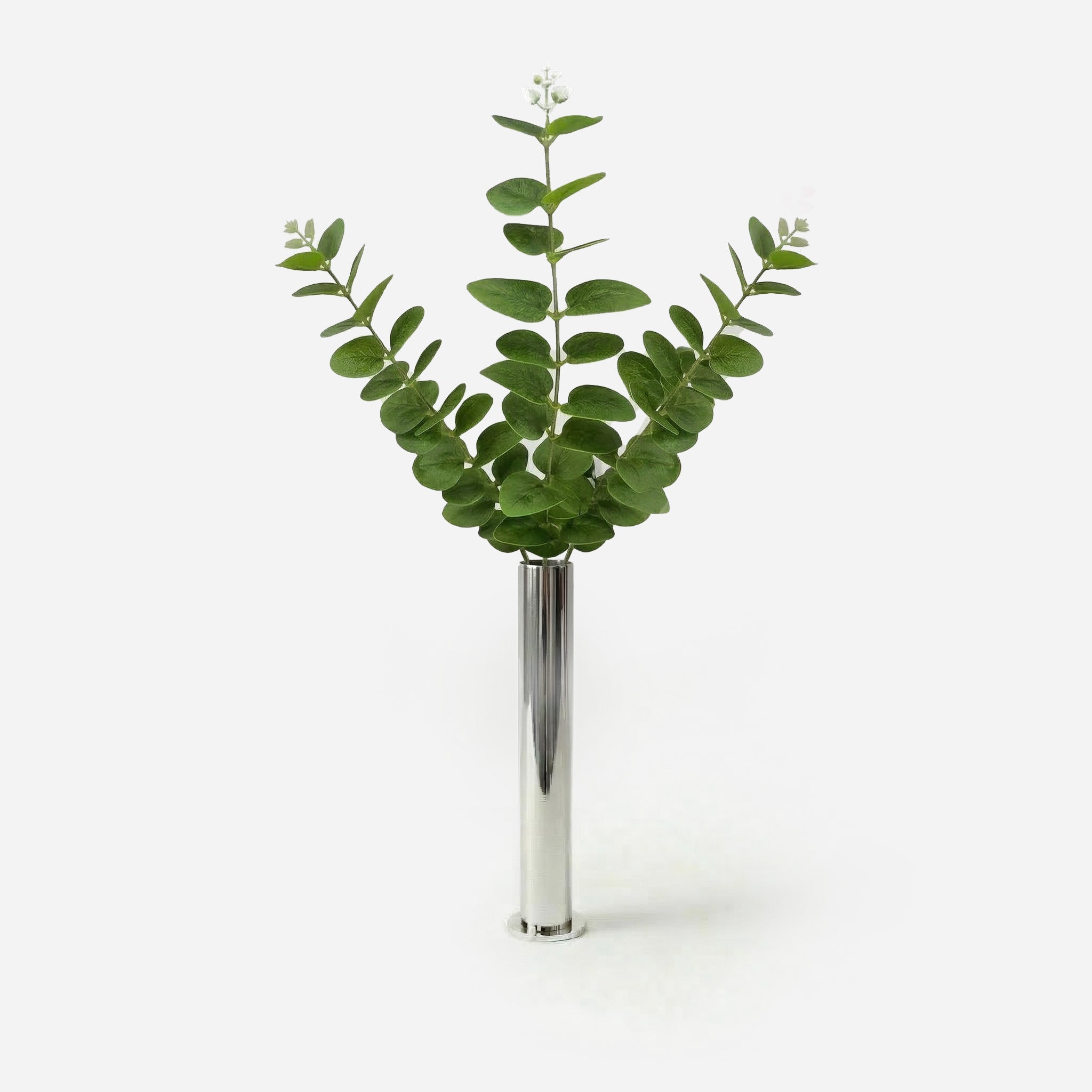 Forest Green Eucalyptus