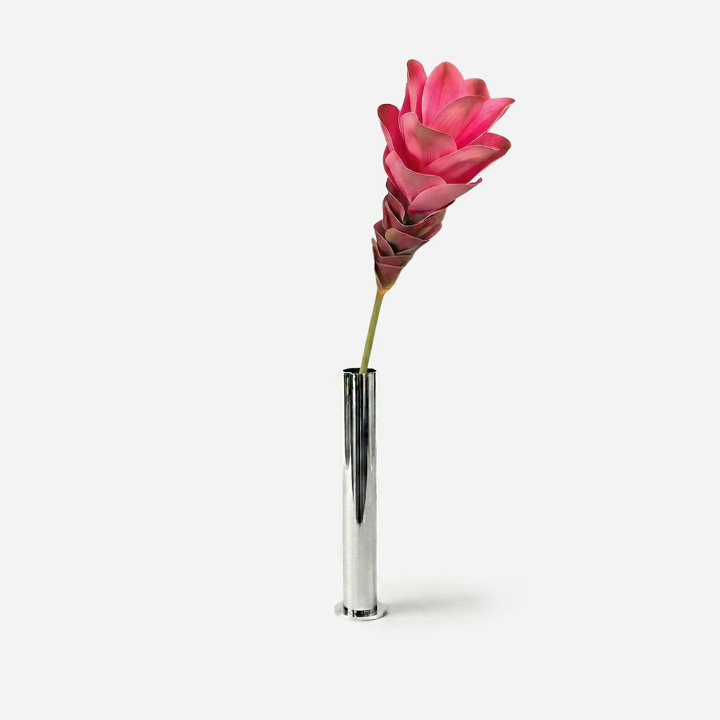 Ginger rose
