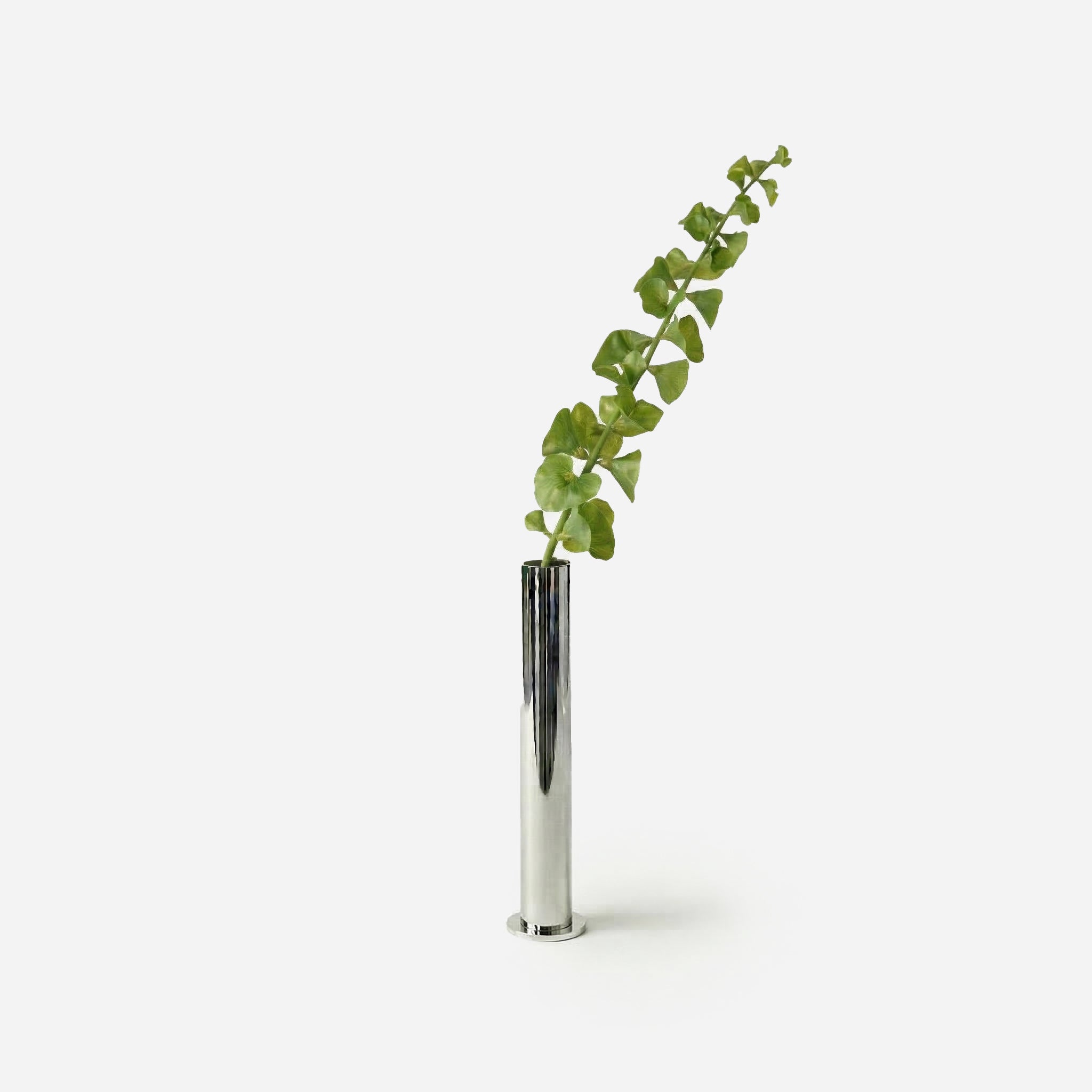 Irish Bellflower Spring Green