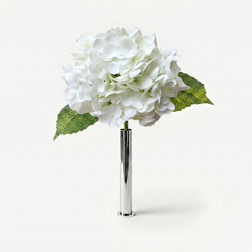 Hortensia éclat d'ivoire