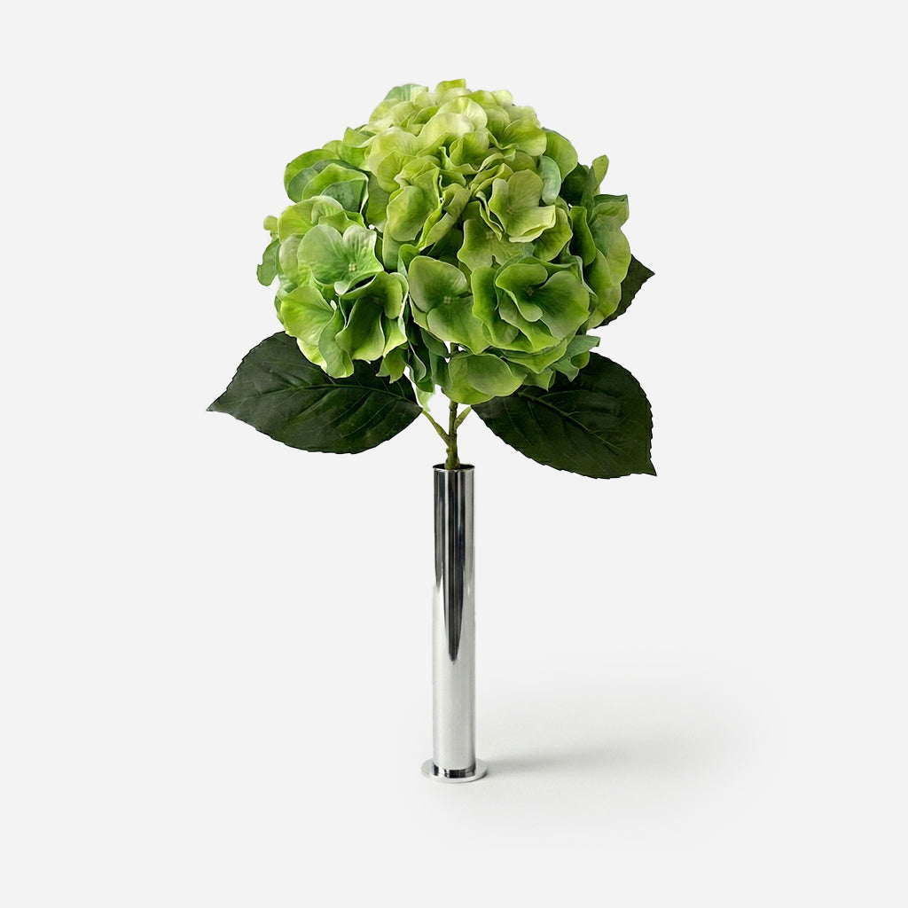 Hortensia éclat végétal