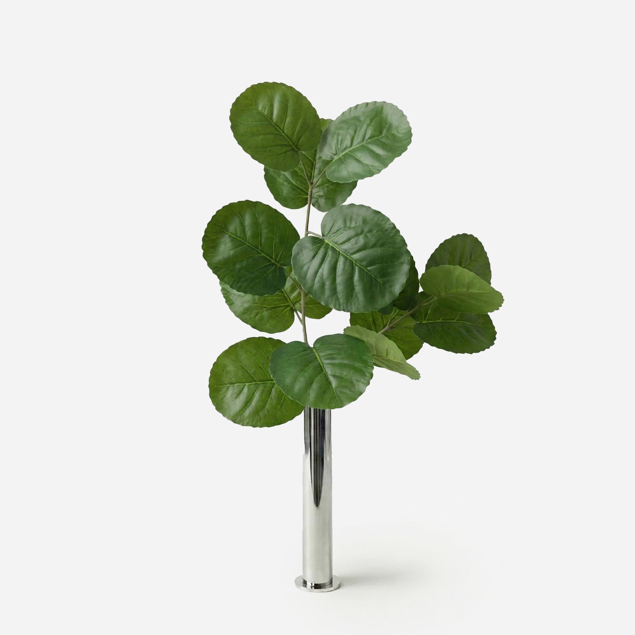 Feuille d'hortensia vert impérial