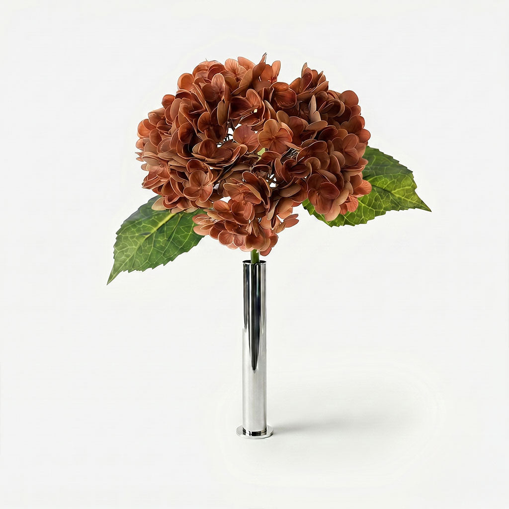 Hortensia terre de sienne