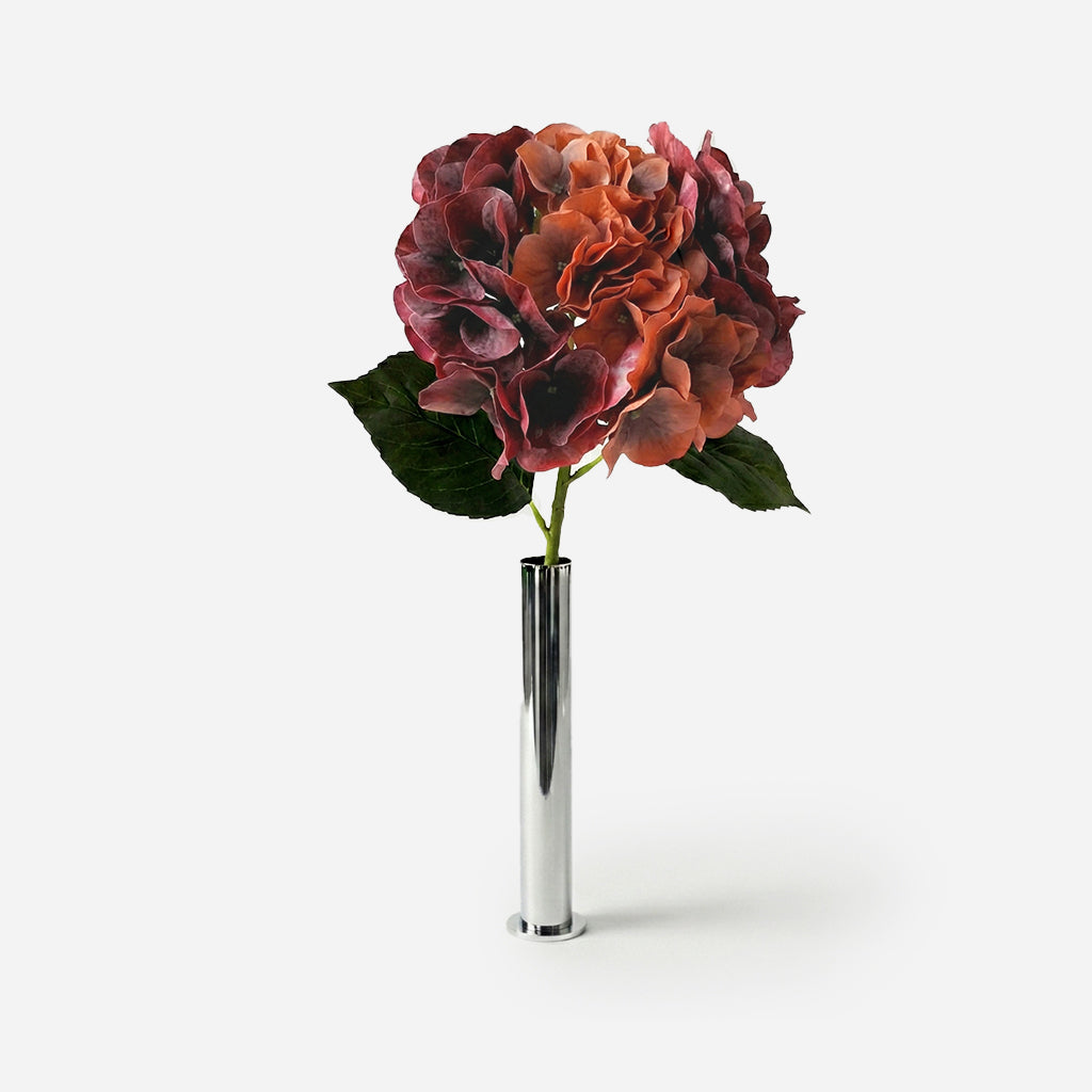 Hortensia rouge automnal