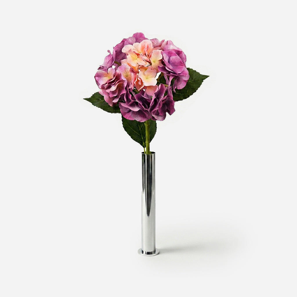 Hortensia prune ombré