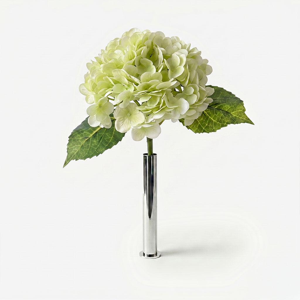 Spring Green Hydrangea