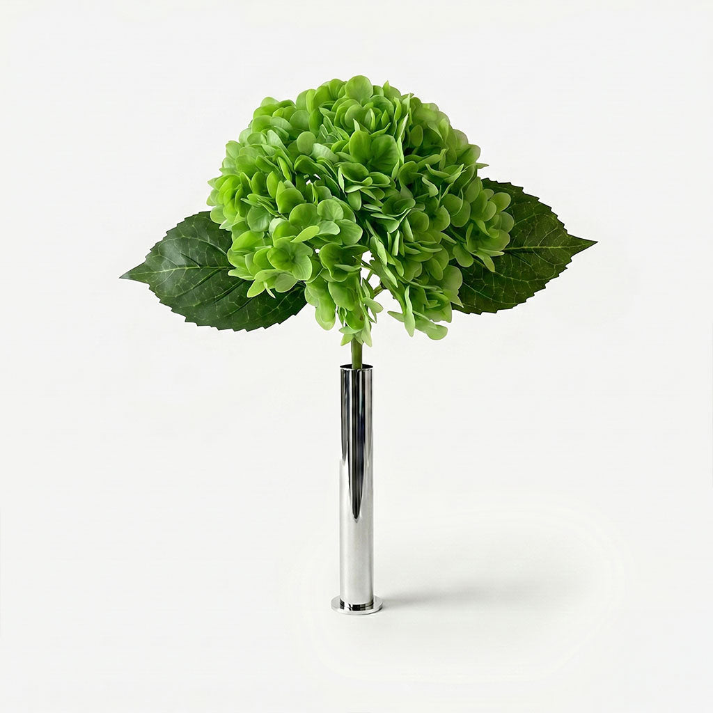 Hortensia céladon