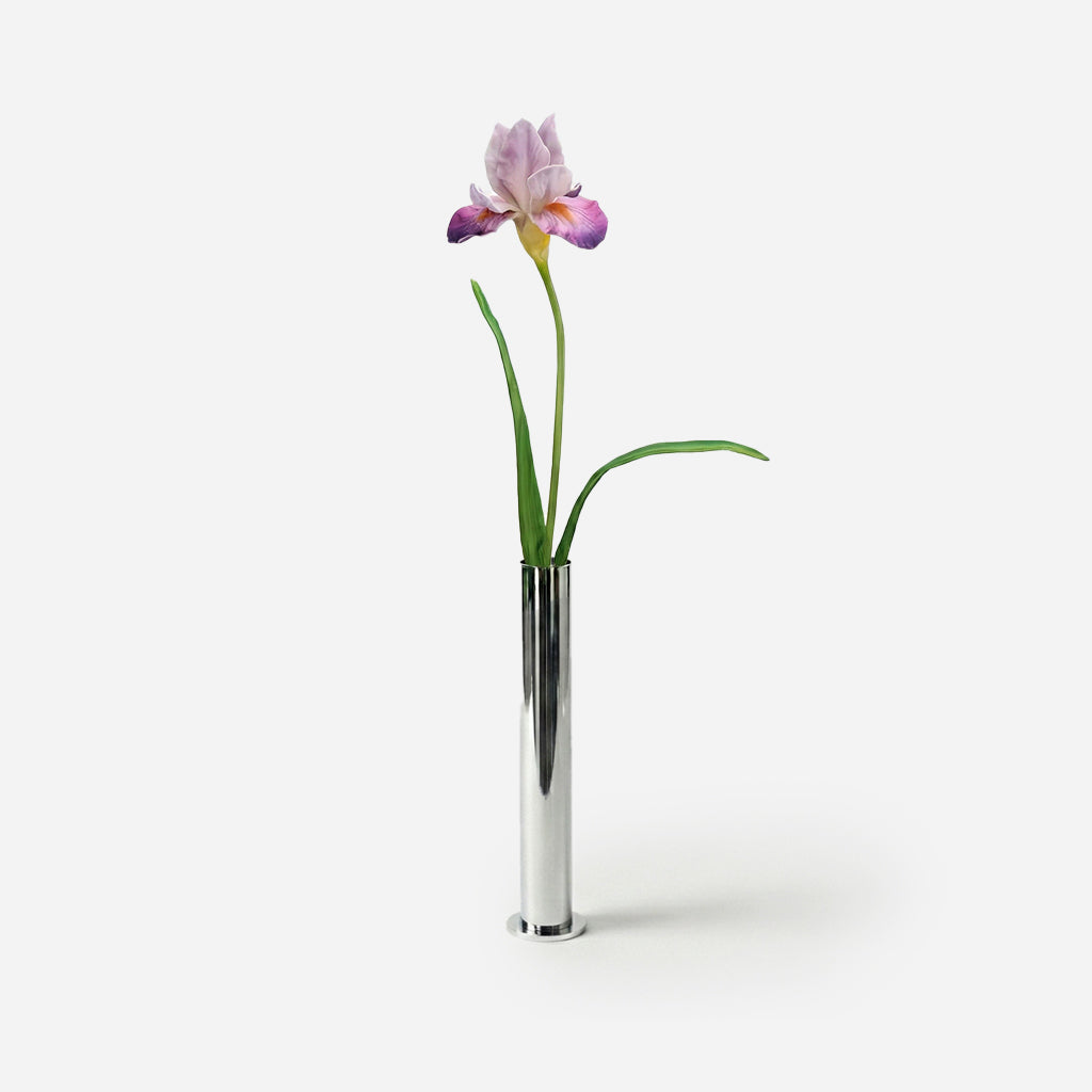 Iris mauve poudré