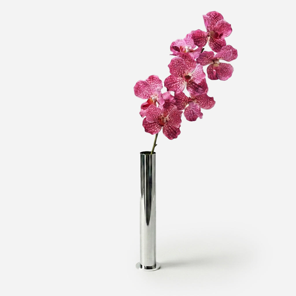 Orchidée rose fuschia
