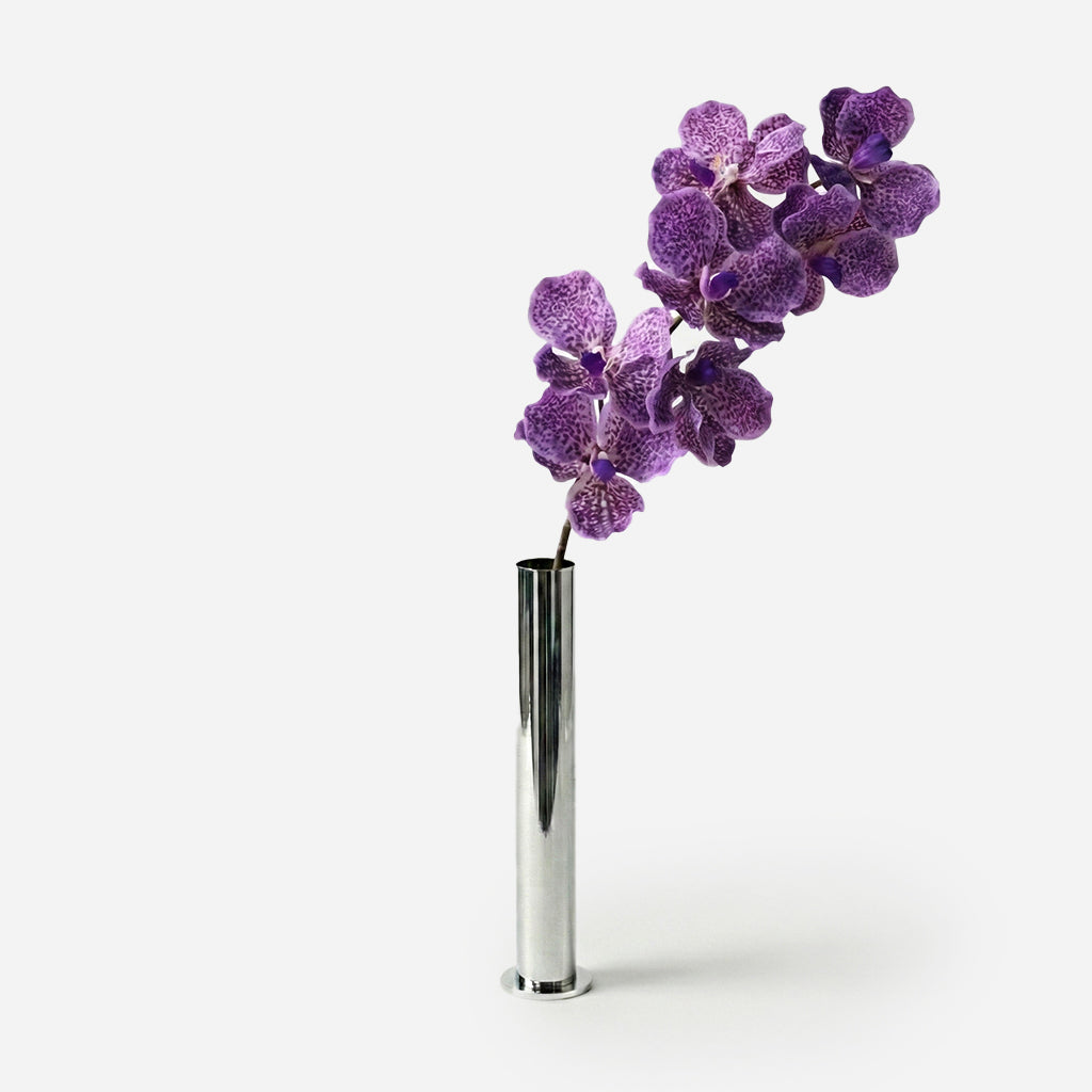 Amethyst purple orchid