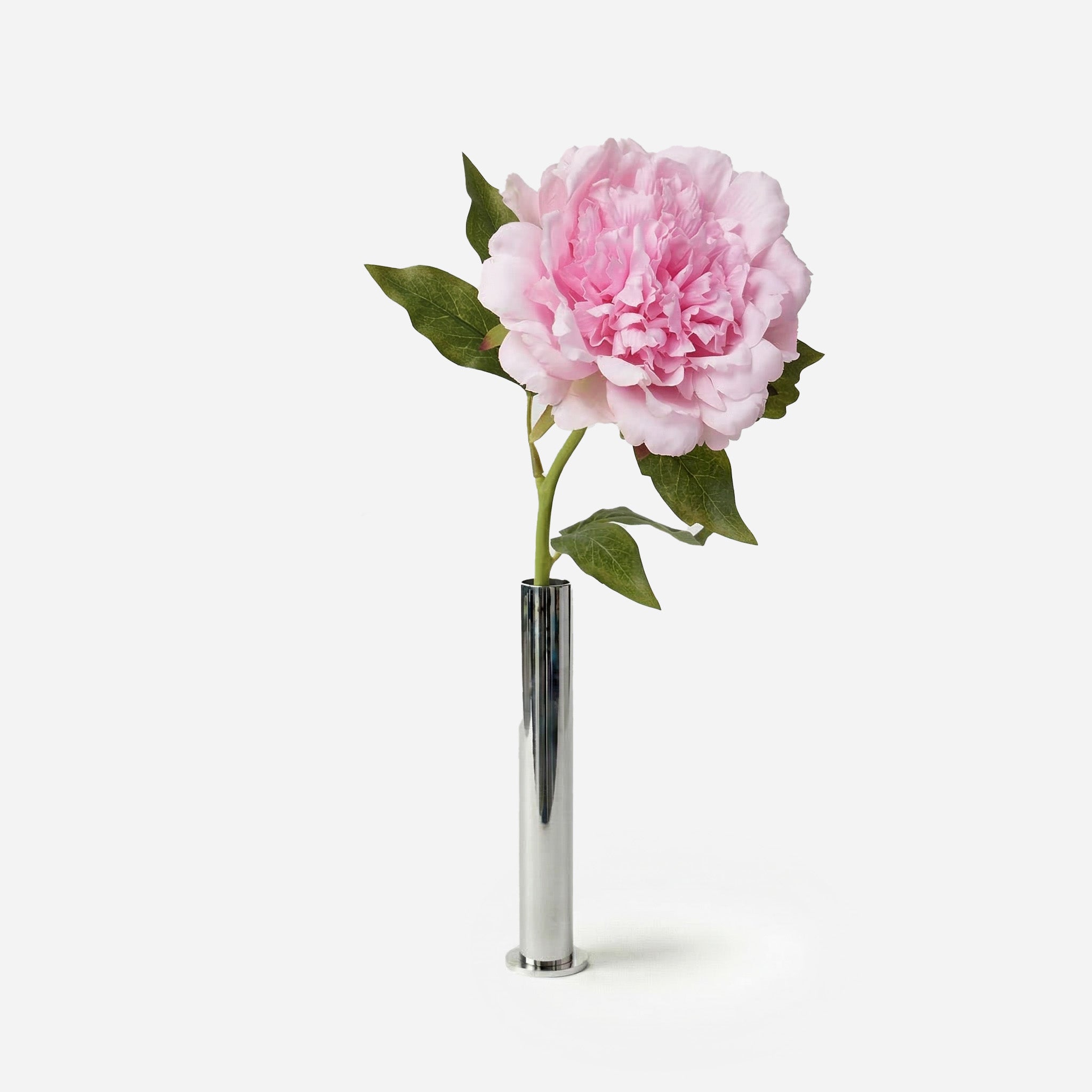 Pivoine mauve poudré