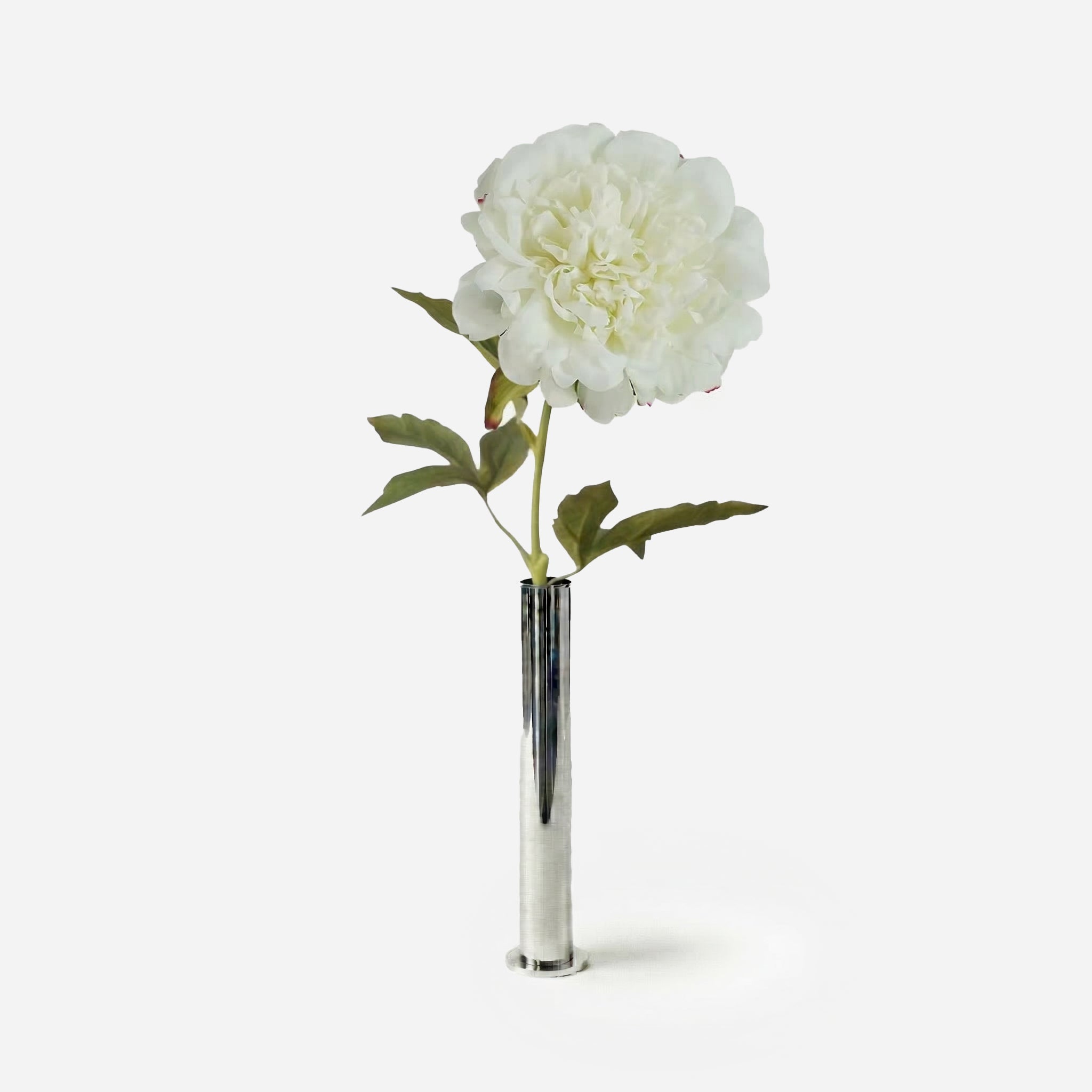 Snow White Peony
