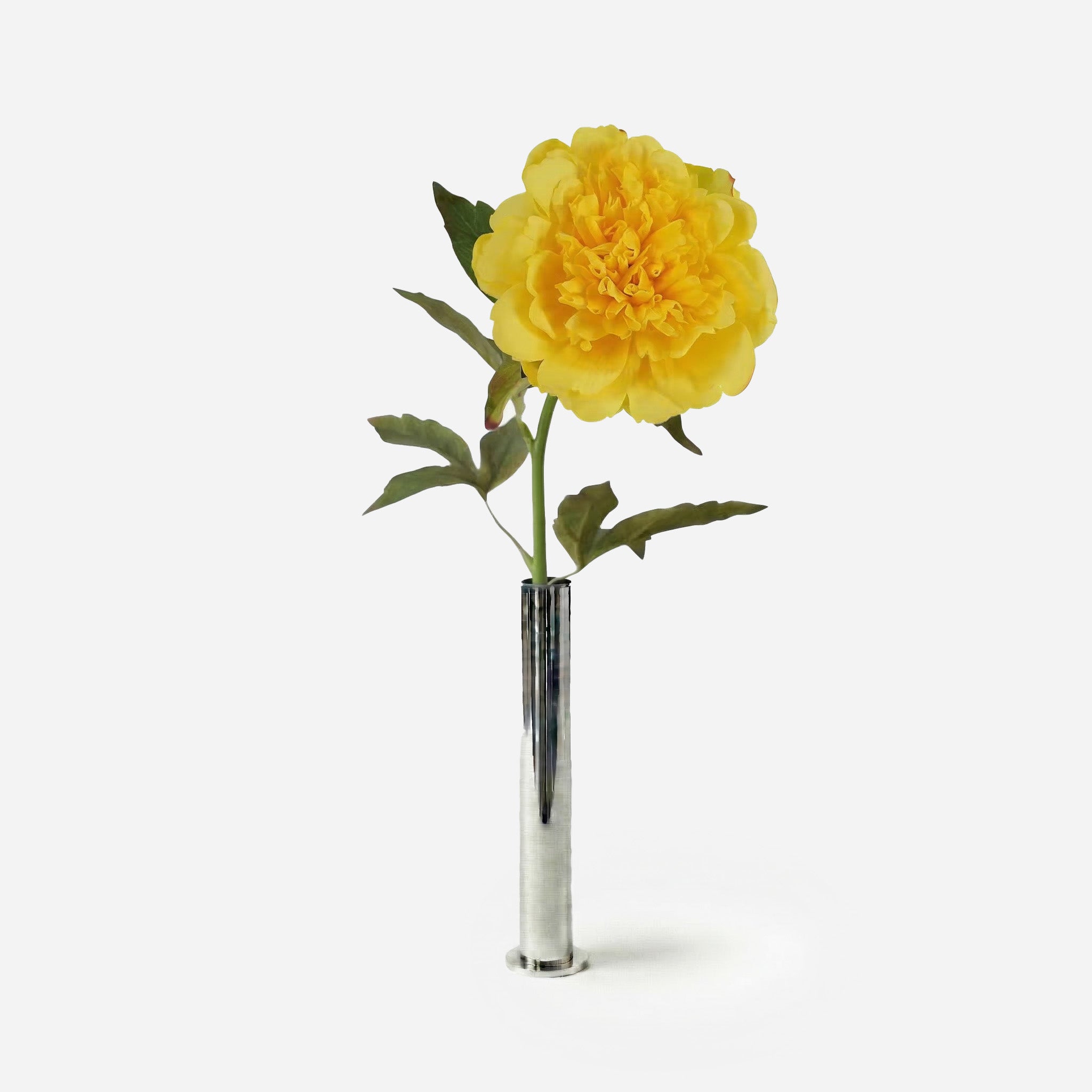 Pivoine jaune safran