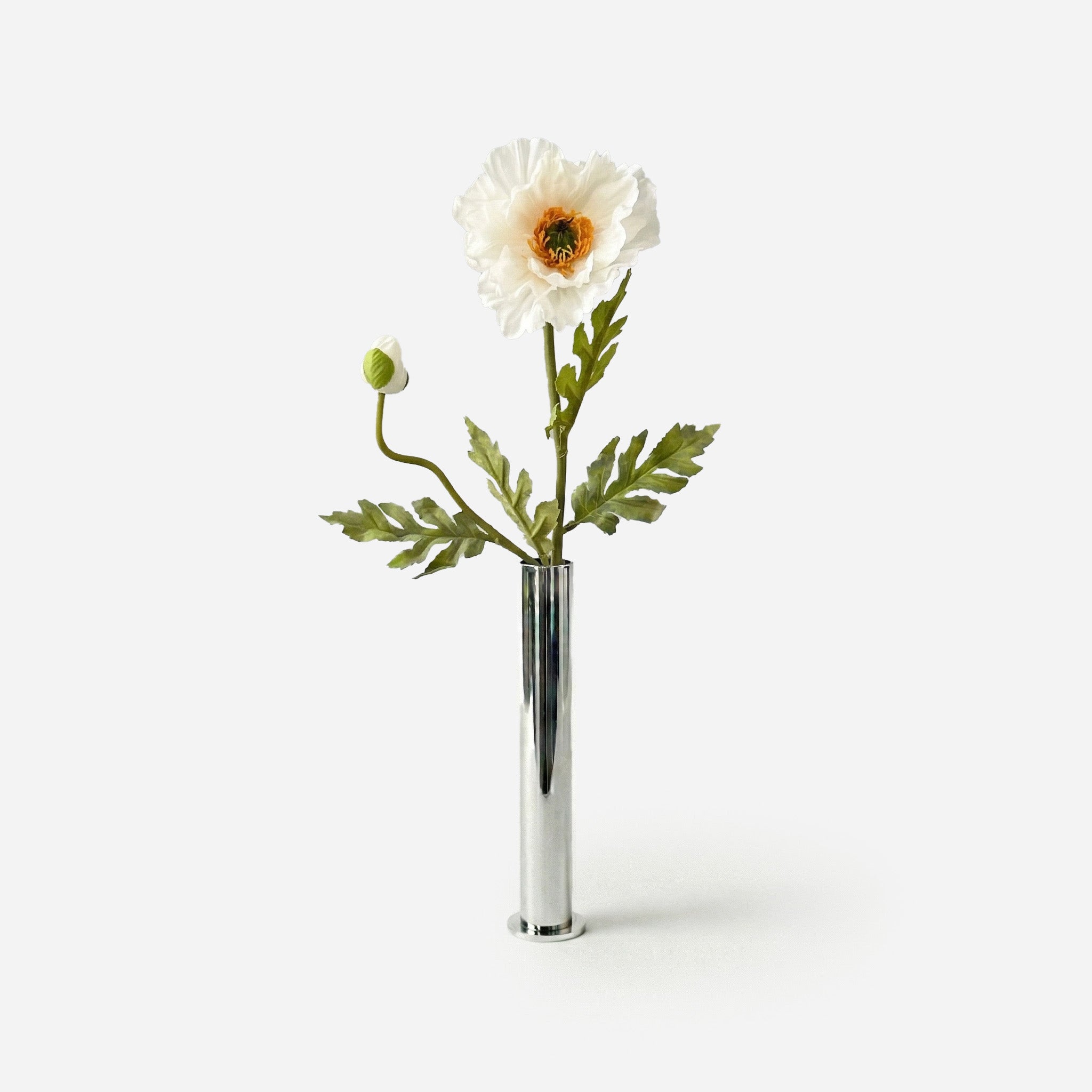 Coquelicot blanc ivoire
