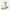 Coquelicot blanc ivoire