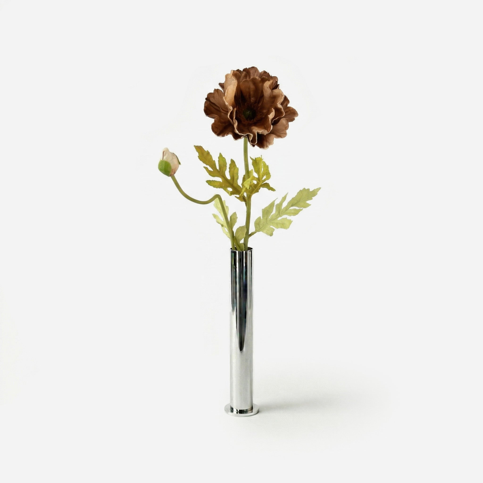 Coquelicot brun tabac