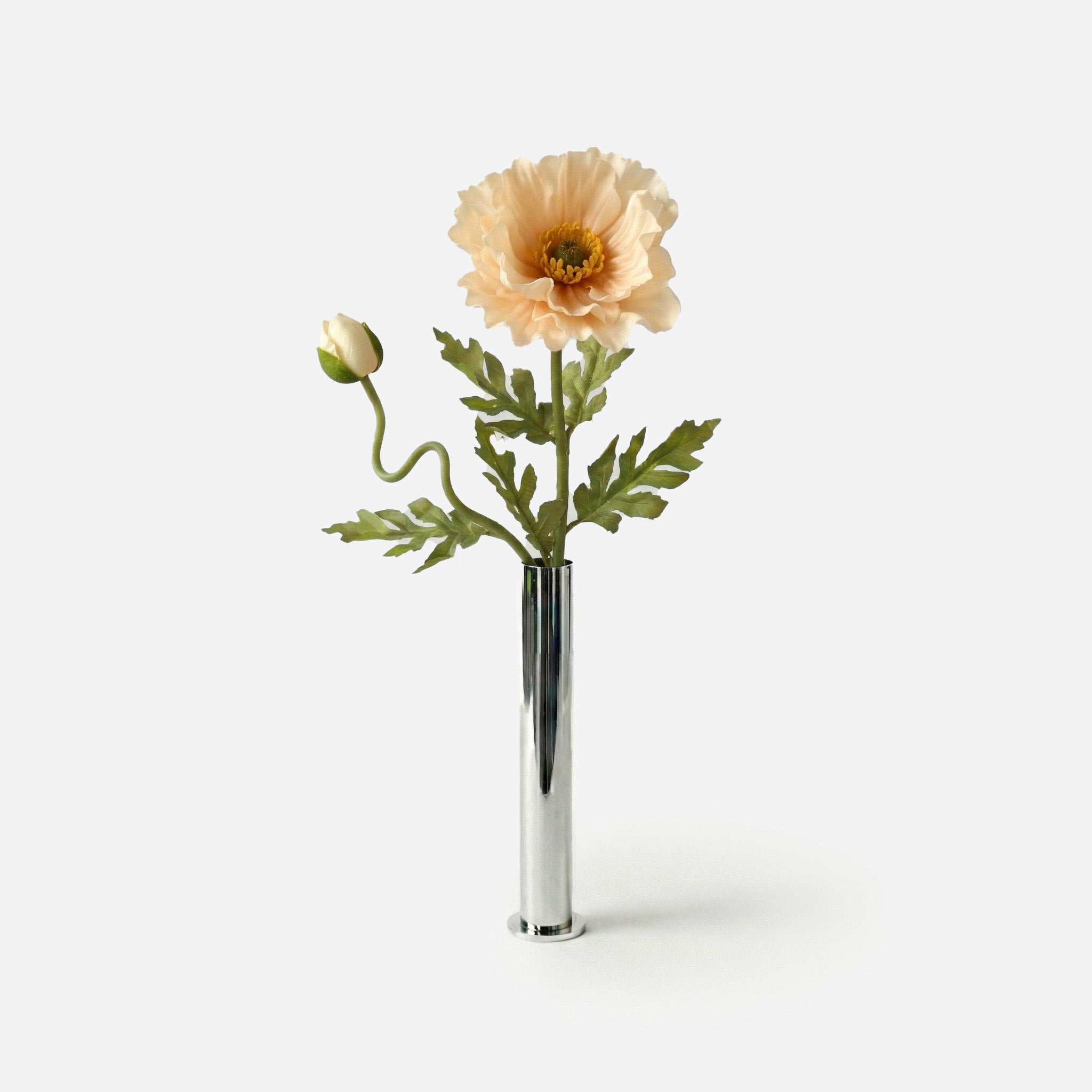 Coquelicot nude boréal