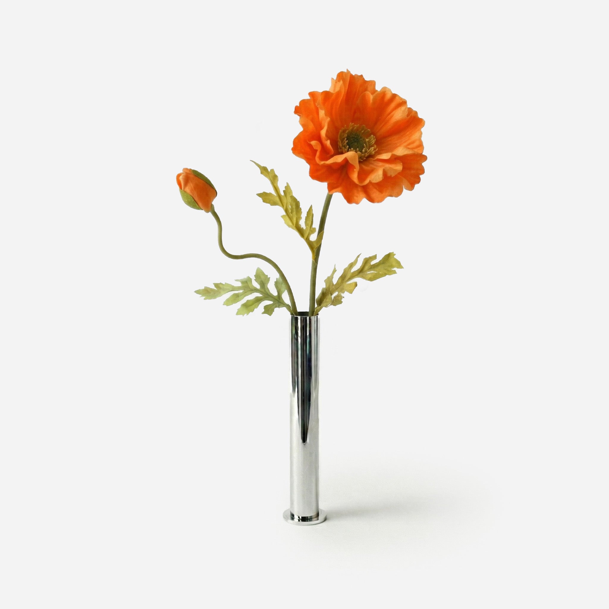 Coquelicot orange solaire