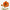 Coquelicot orange solaire