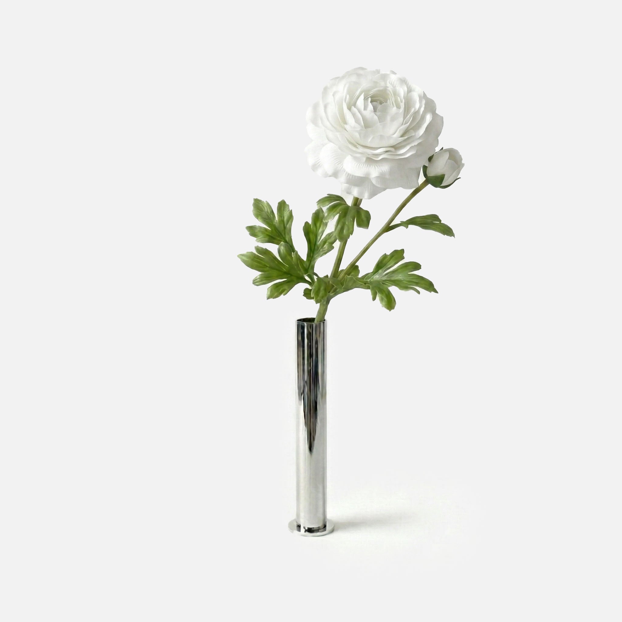 Renoncule blanc d'hiver