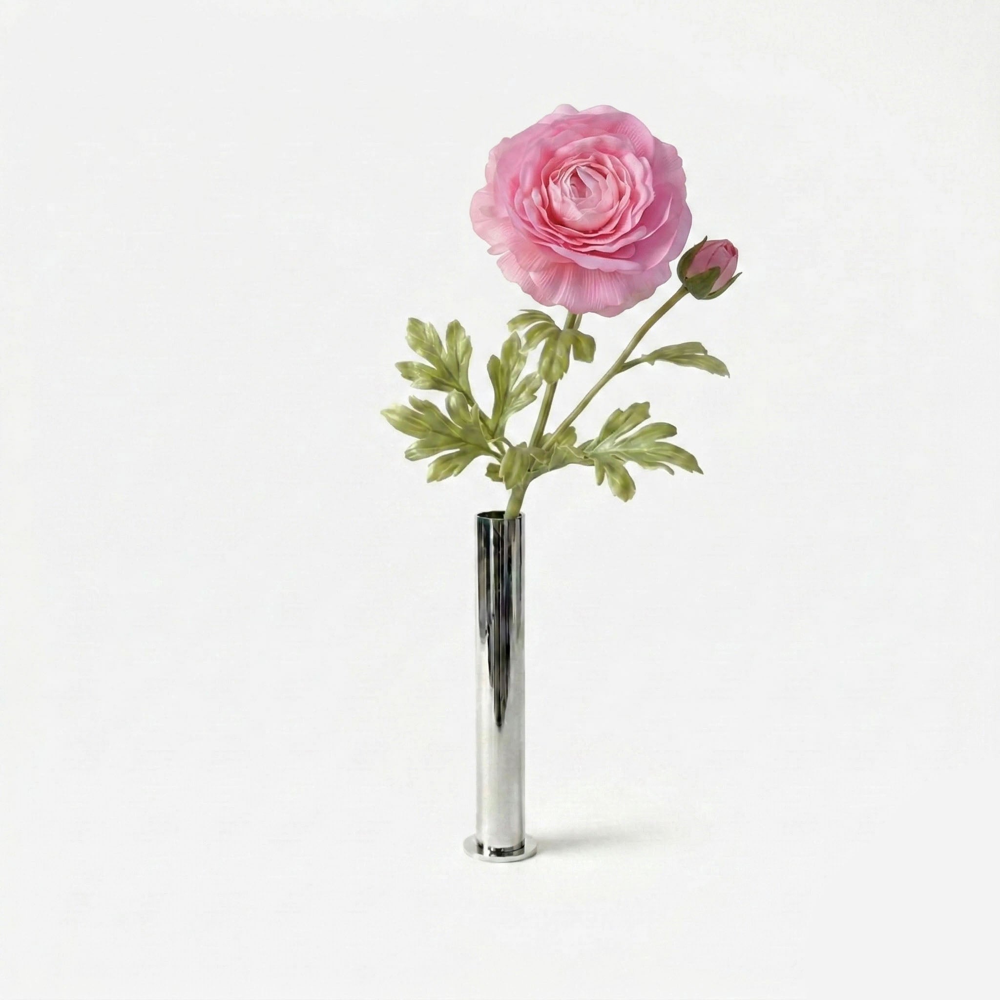 Renoncule rose porcelaine