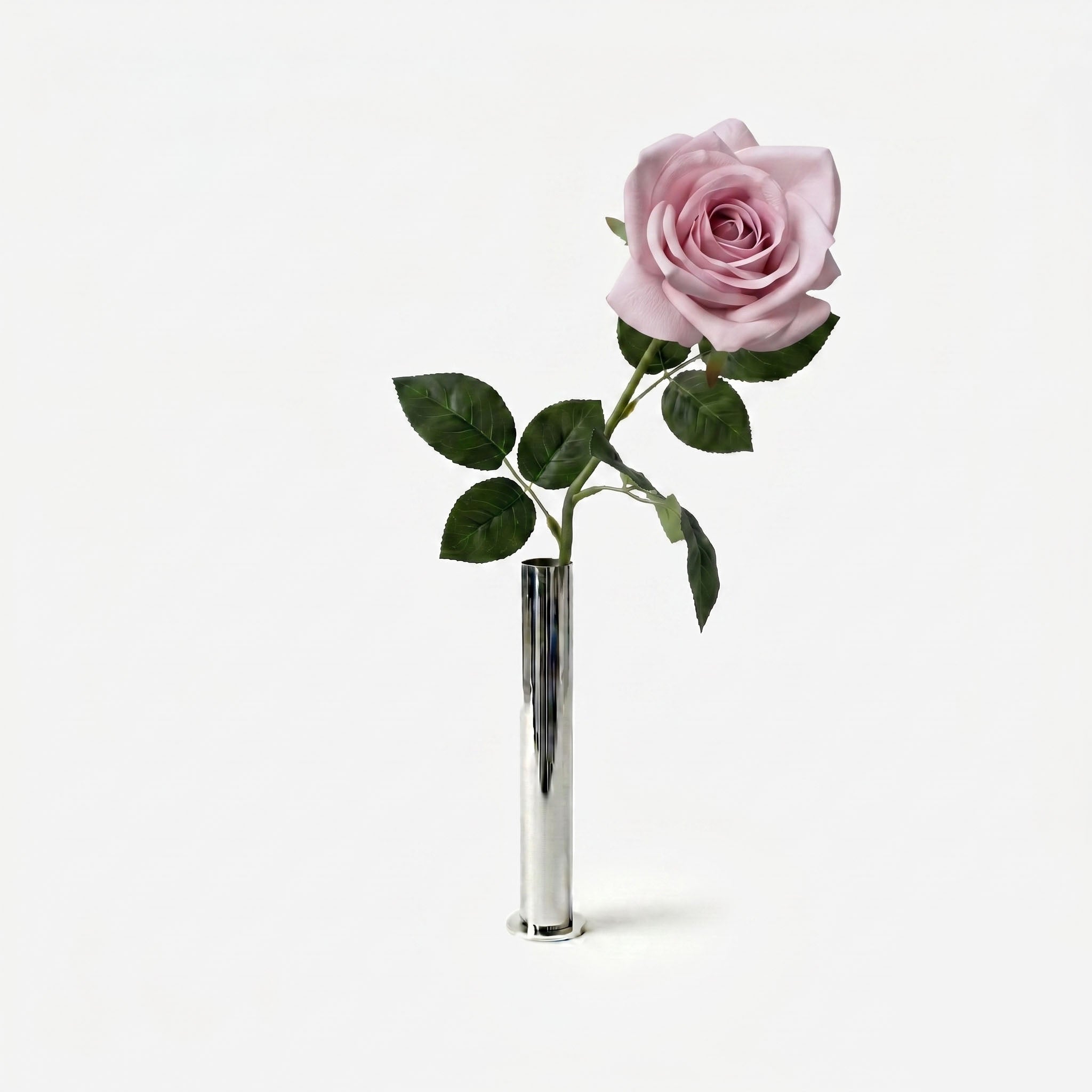 Rose blush ancien