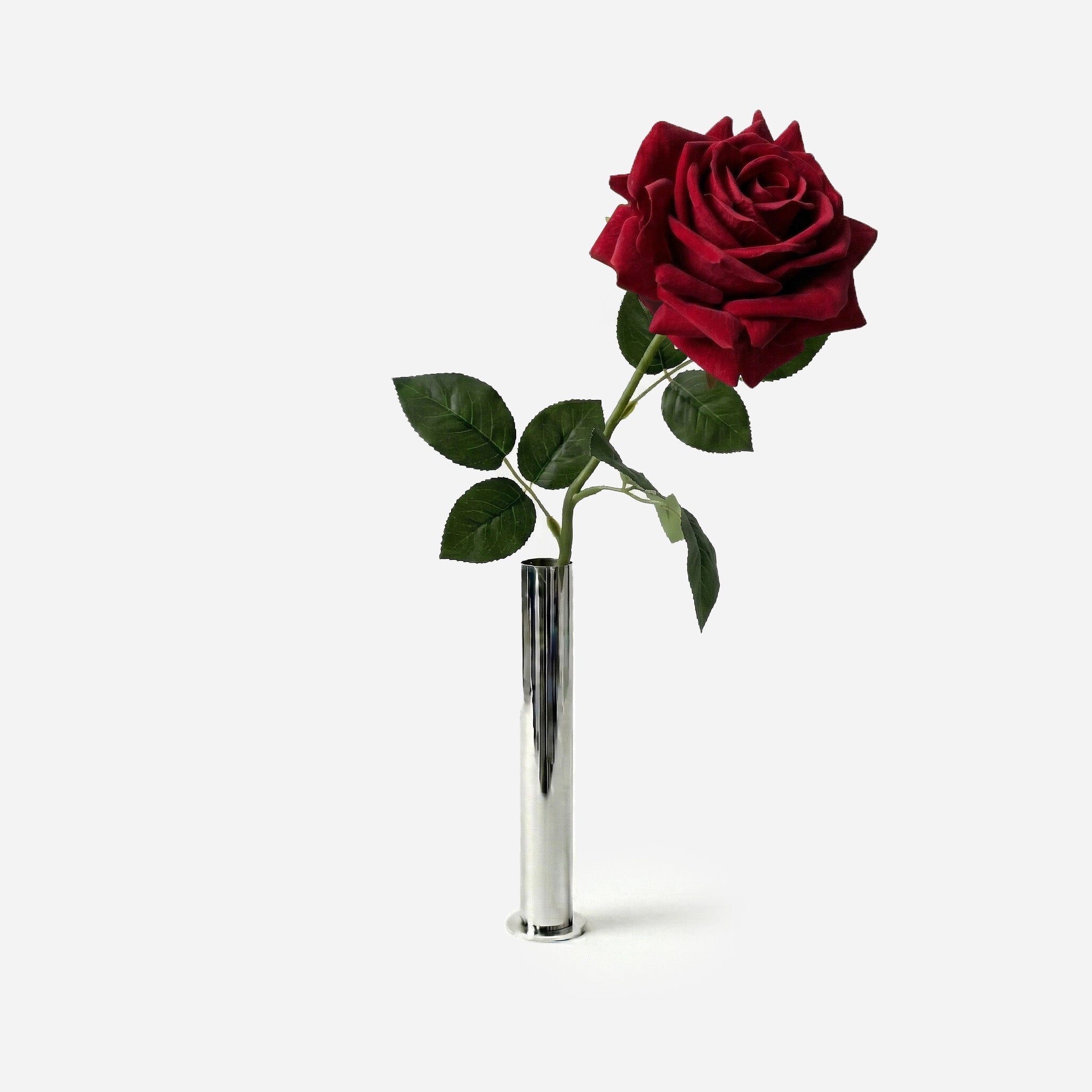 Rose rouge opéra