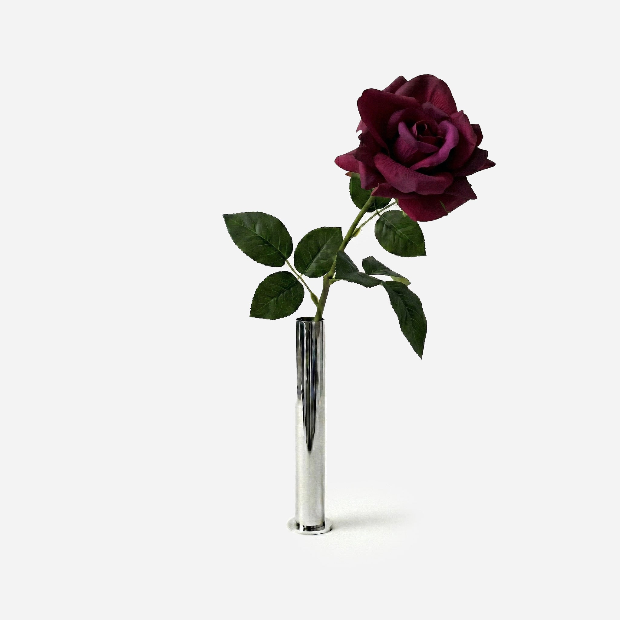 Rose prune de nuit
