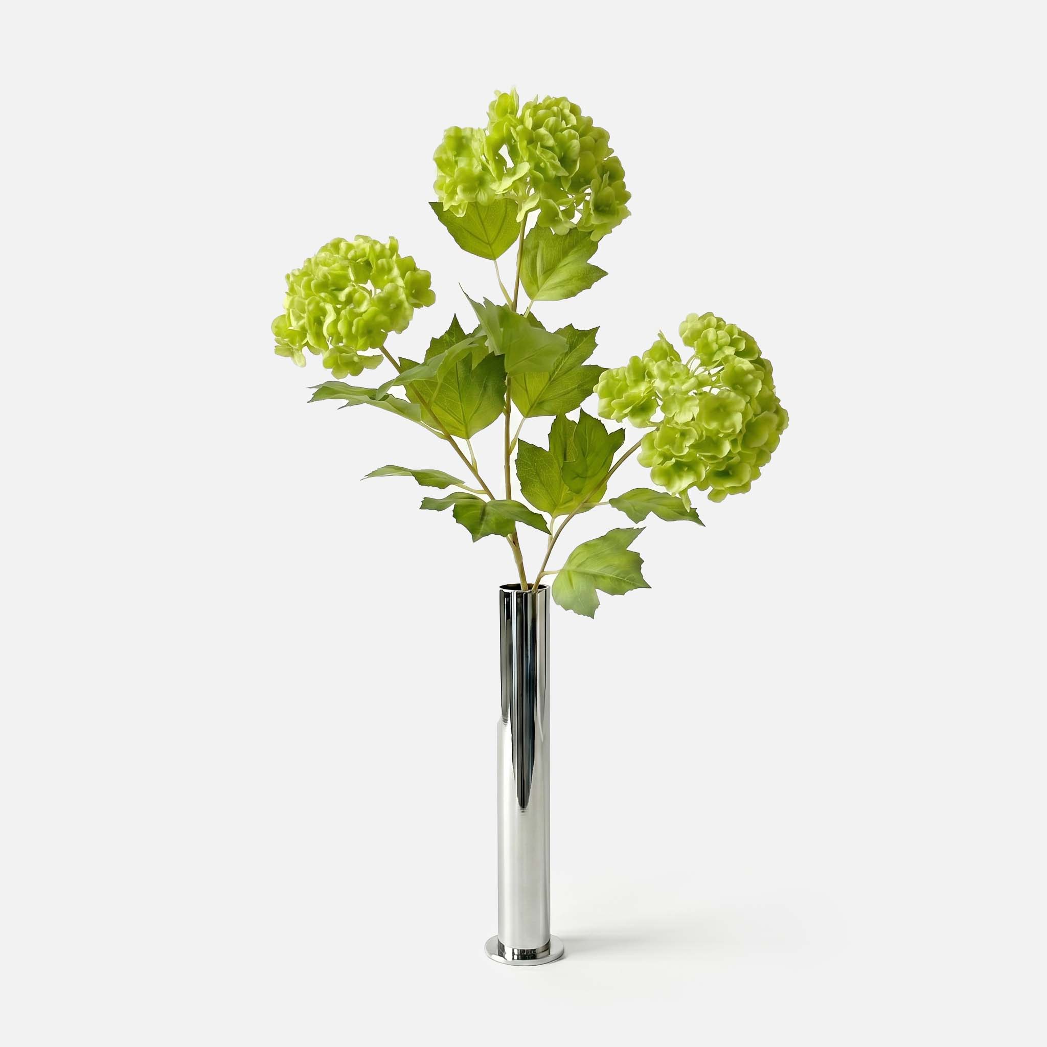 Viorne vert fraîcheur