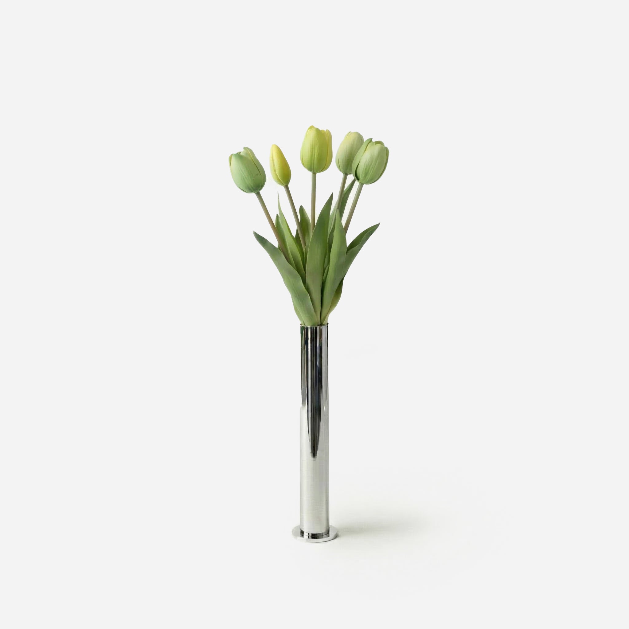 Sorbet green tulips